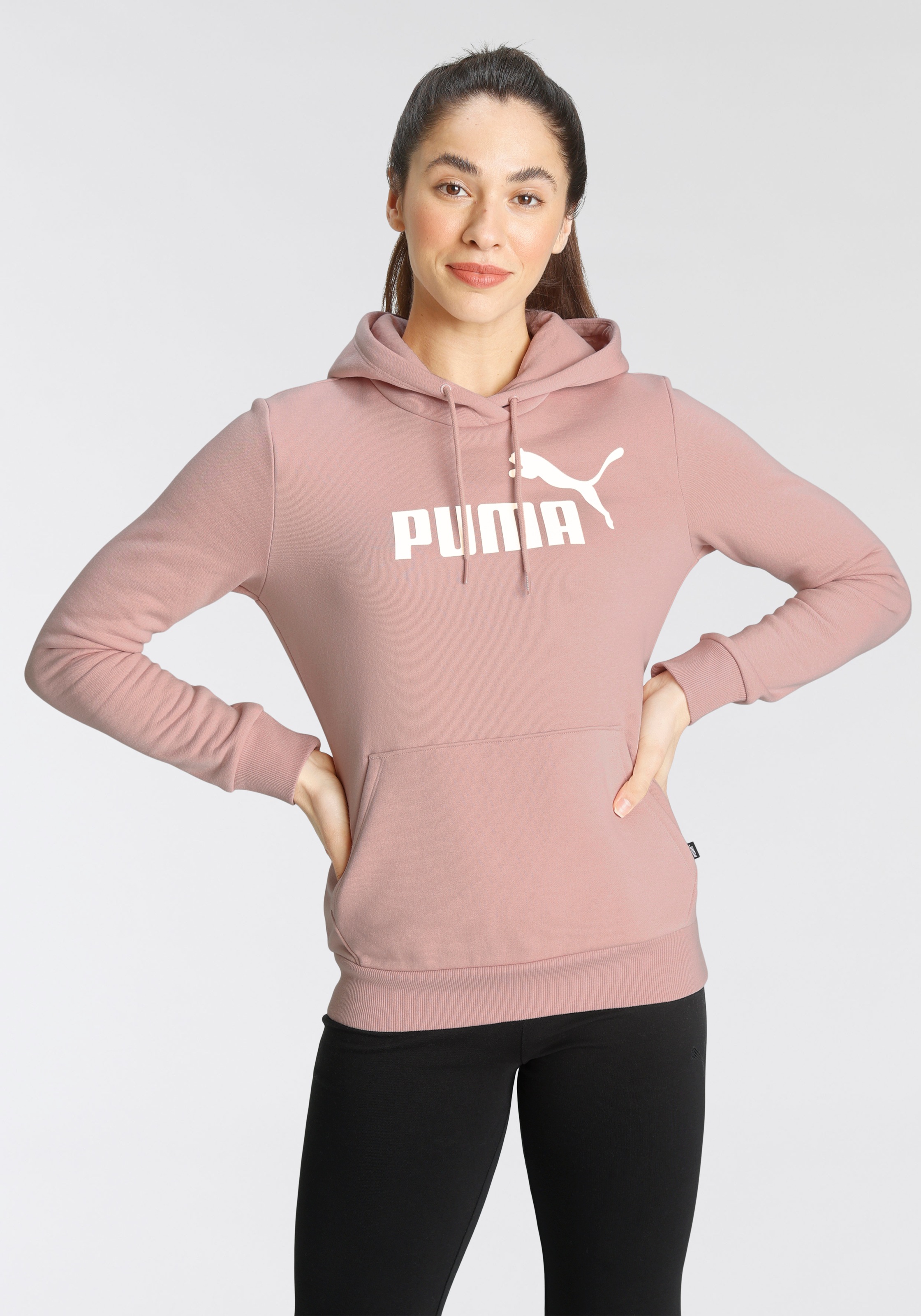 Image of PUMA Kapuzensweatshirt »ESSENTIALS LOGO HOODIE FLEECE« bei Ackermann Versand Schweiz