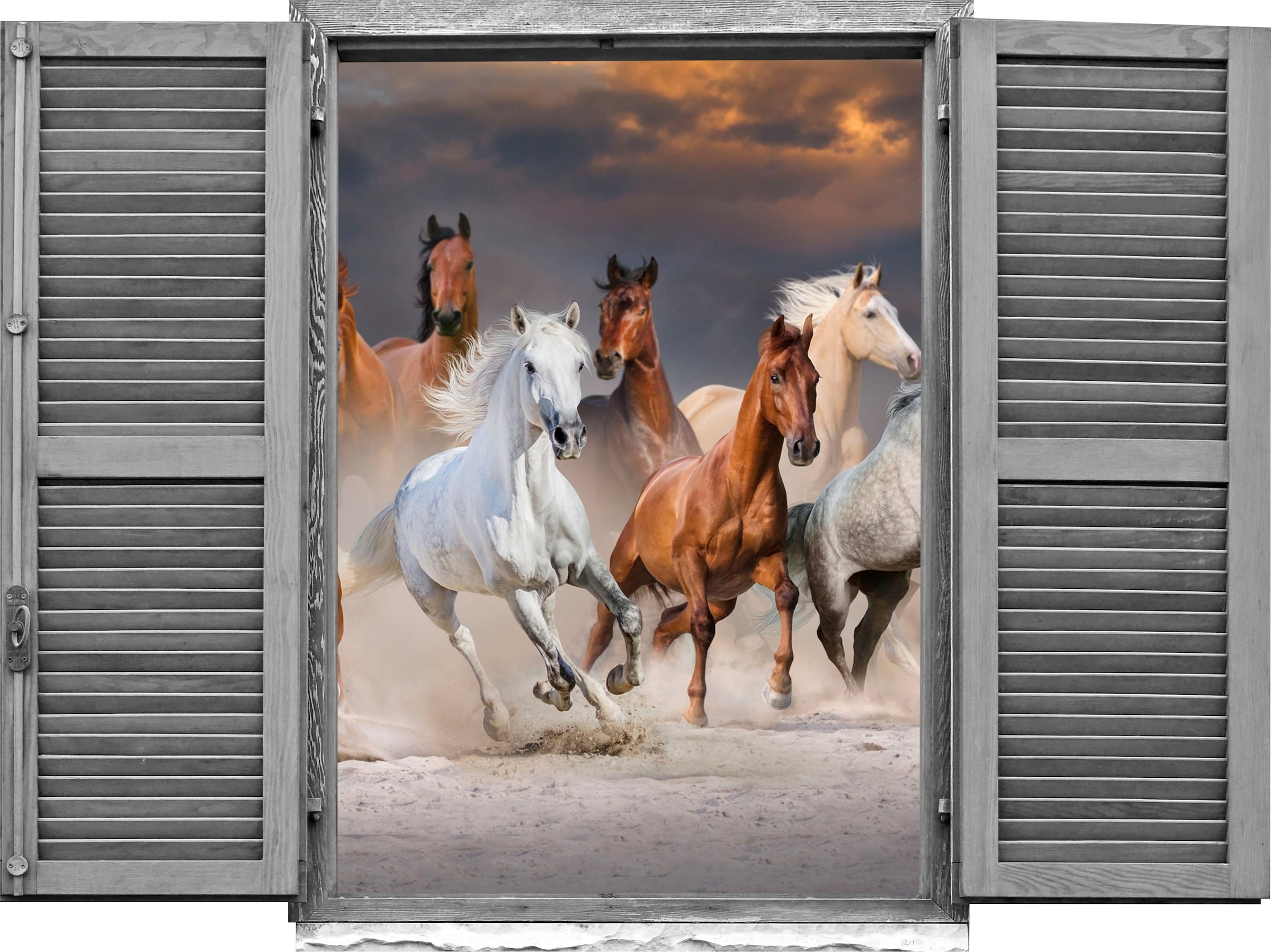 Image of queence Wandtattoo "Pferde" Wandsticker, Wandbild, selbstklebend, 3D, Fenster
