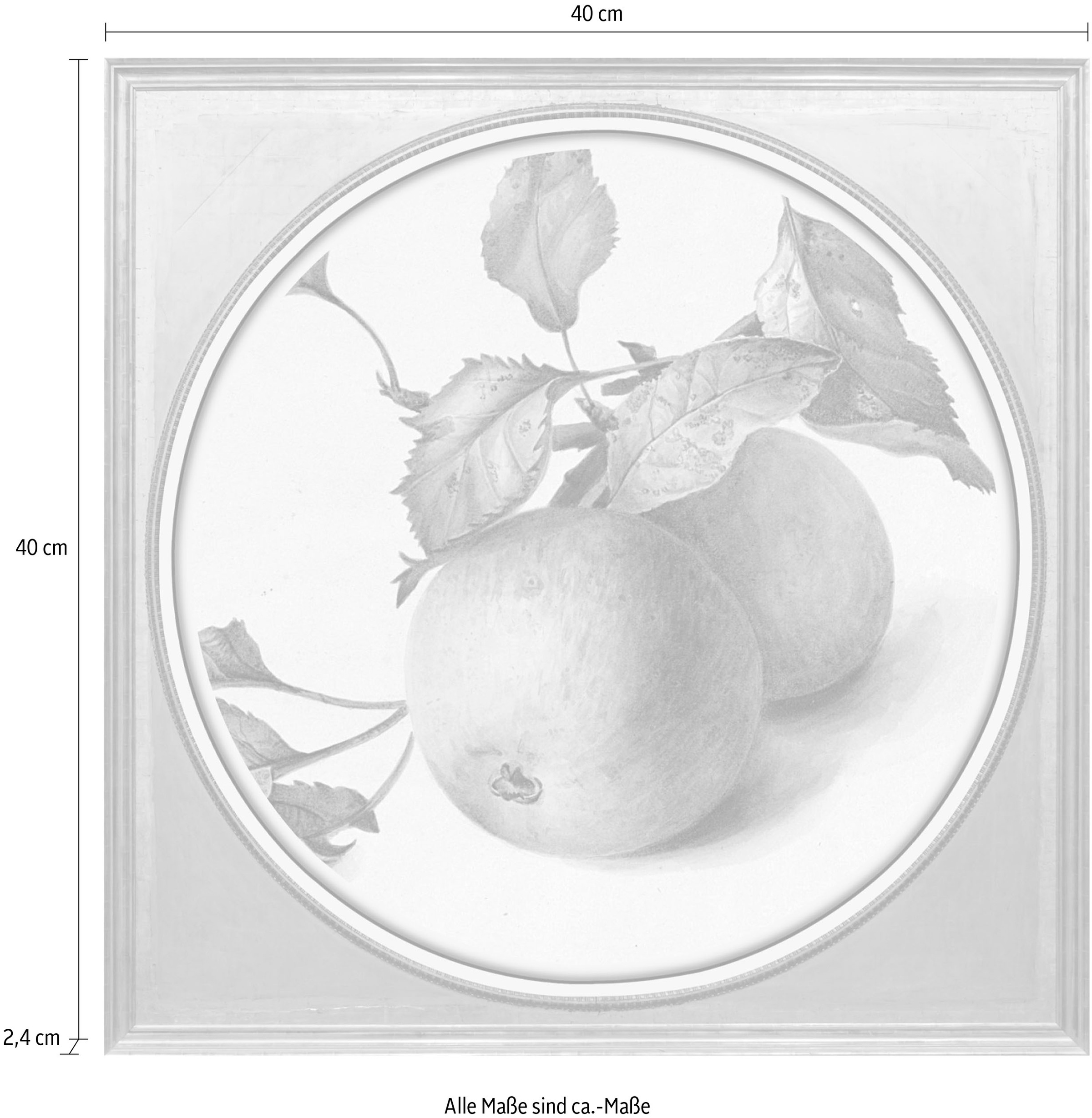 queence Acrylglasbild »Apfel«