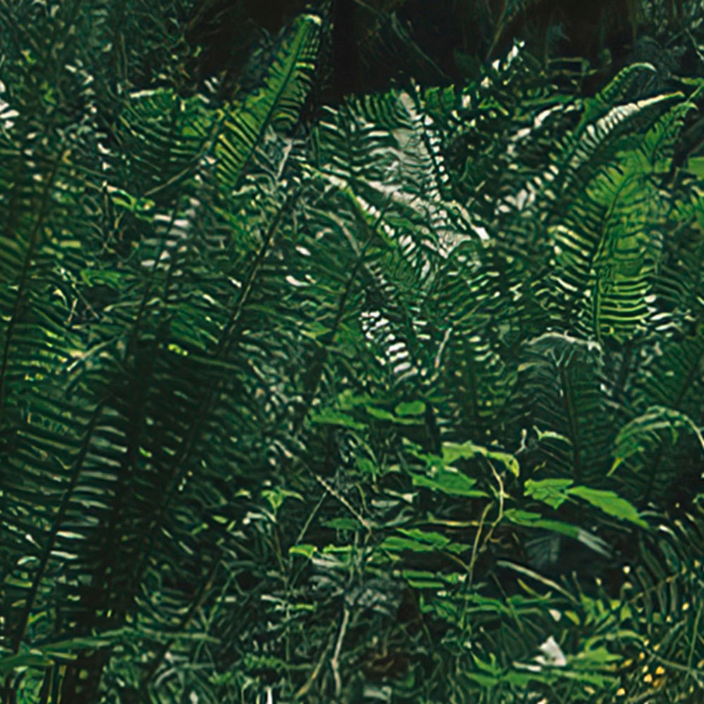 Komar Fototapete »Digitaldruck Vlies -  Hall of Mosses - Grösse 400 x 250 cm« bedruckt glatt Wohnzimmer, Schlafzimmer