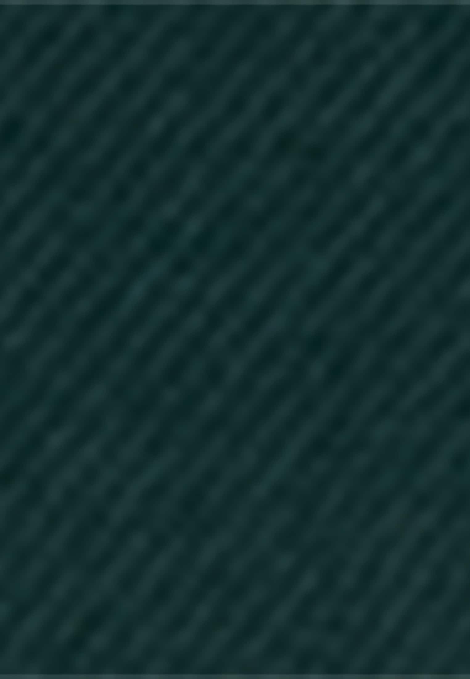 seidensticker Longbluse »Schwarze Rose« Langarm Kragen Streifen