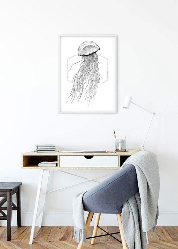 Komar Image »Jellyfish White« Animaux 1 cuis tlg. Wandbild zur Dekoration - ohne Rahmen