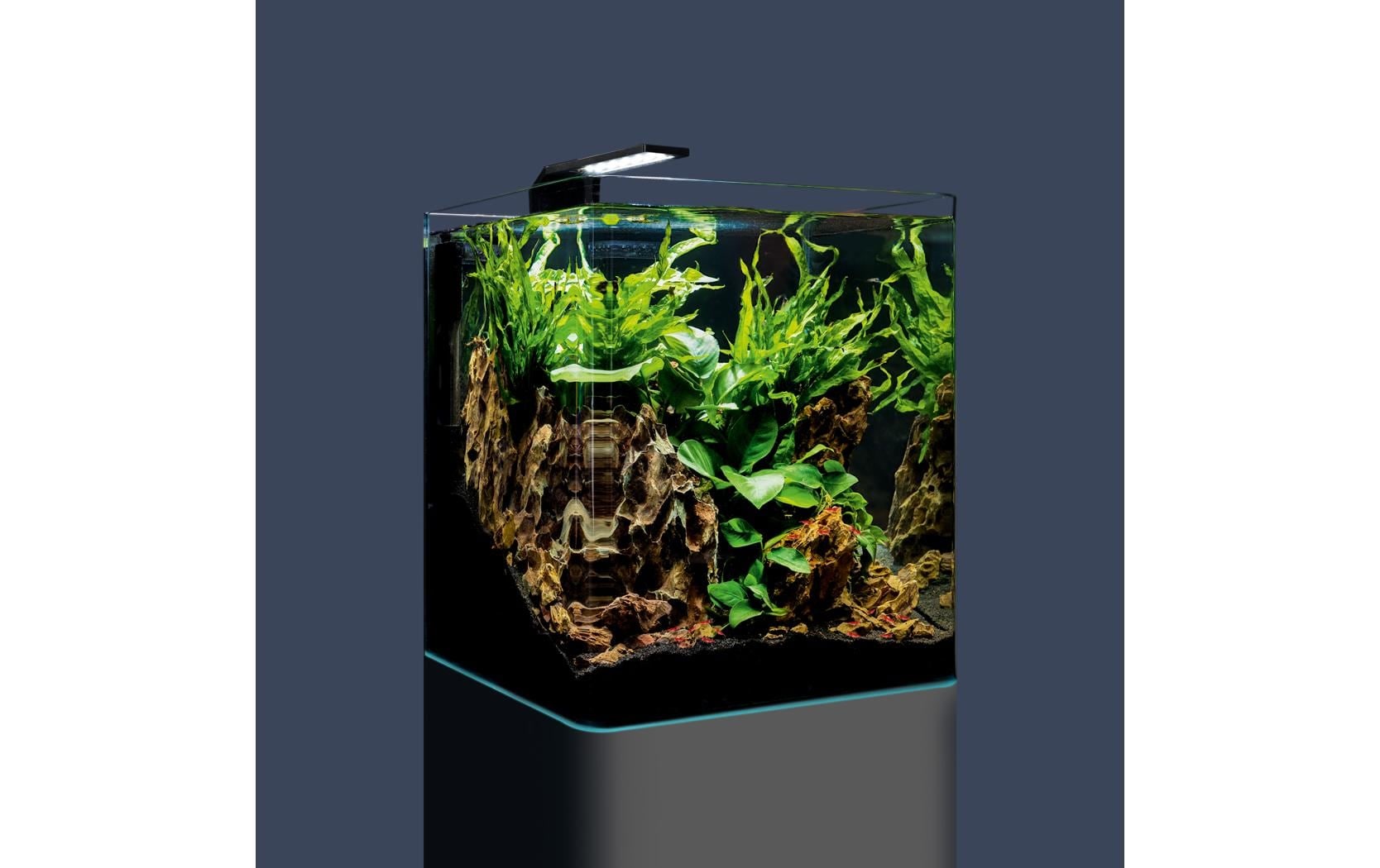 DENNERLE Aquarien-Set »Nano Cube Complete, 30 l« Mini Aquarium Komplettset