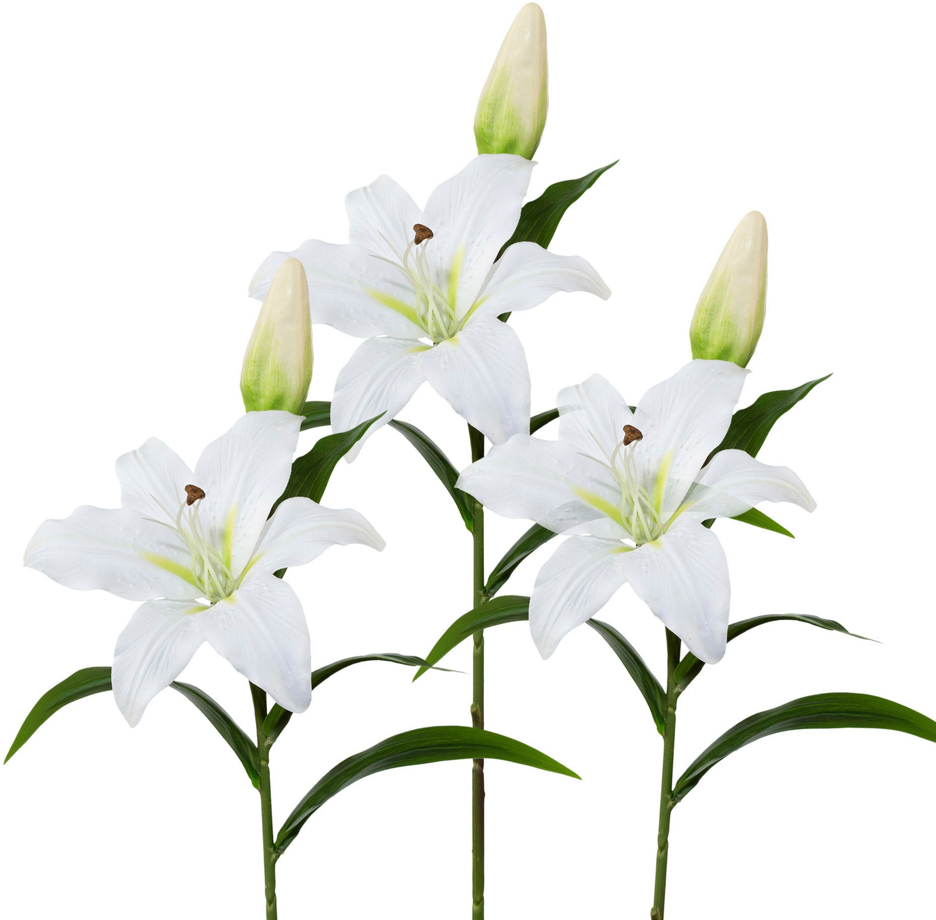 Image of Creativ green Kunstblume, (Set, 3 St.), 3er-Set bei Ackermann Versand Schweiz