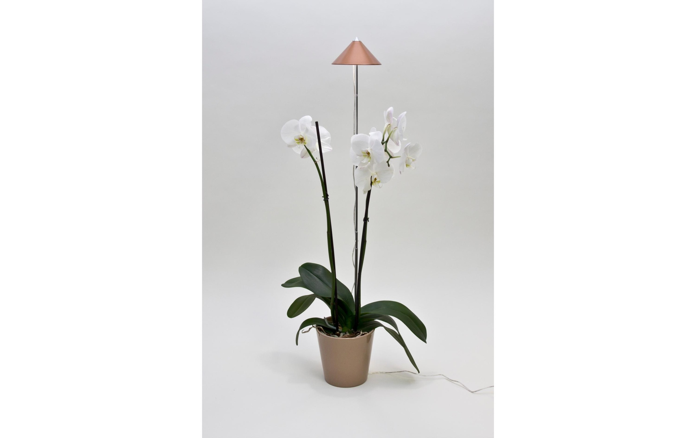Pflanzenlampe »Neogard SunLite Kupfer, 7W«