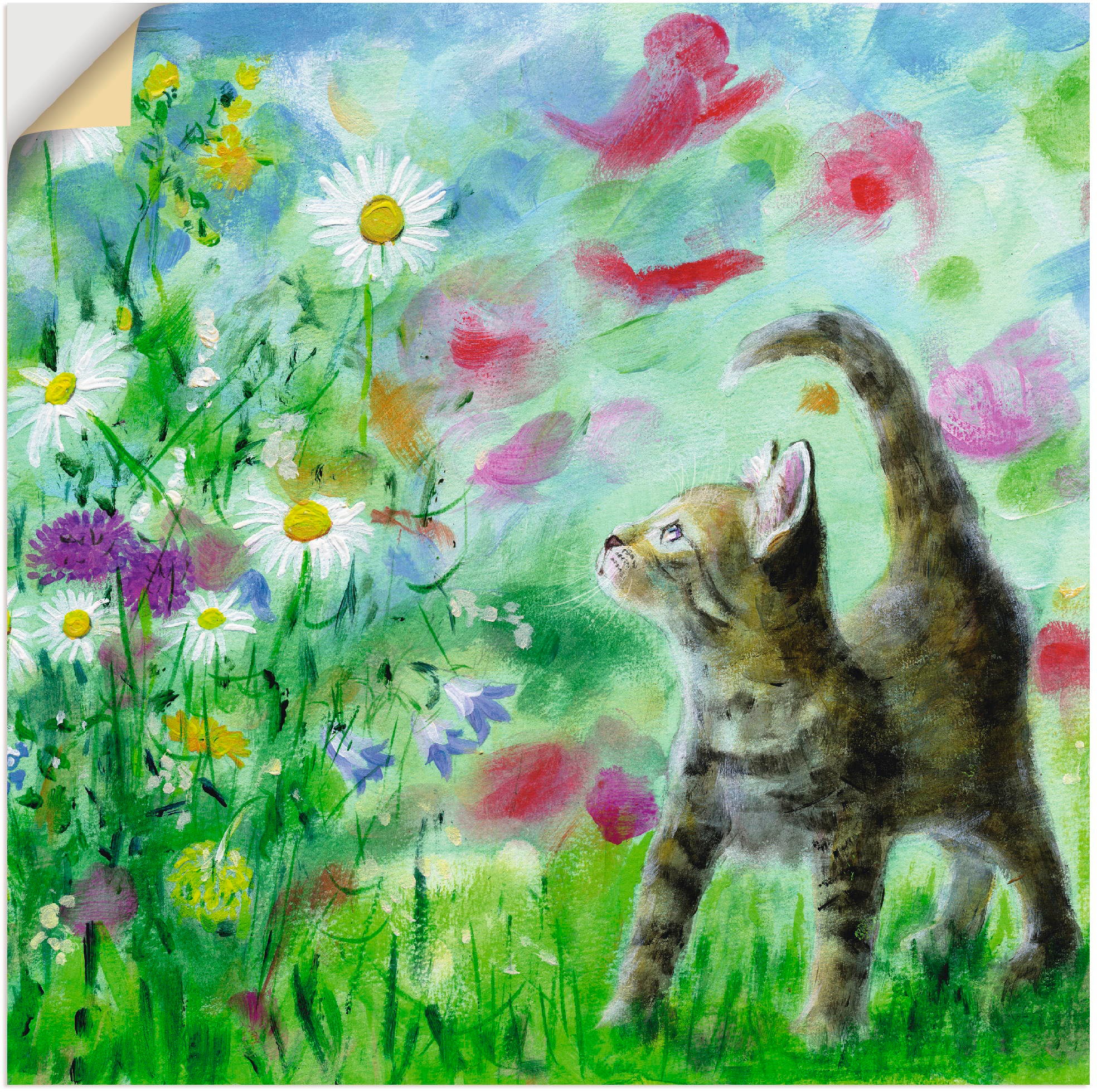 Image of Artland Wandbild »Sommerwiese mit Kätzchen«, Haustiere, (1 St.), in vielen Grössen & Produktarten -Leinwandbild, Poster, Wandaufkleber / Wandtattoo auch für Badezimmer geeignet bei Ackermann Versand Schweiz