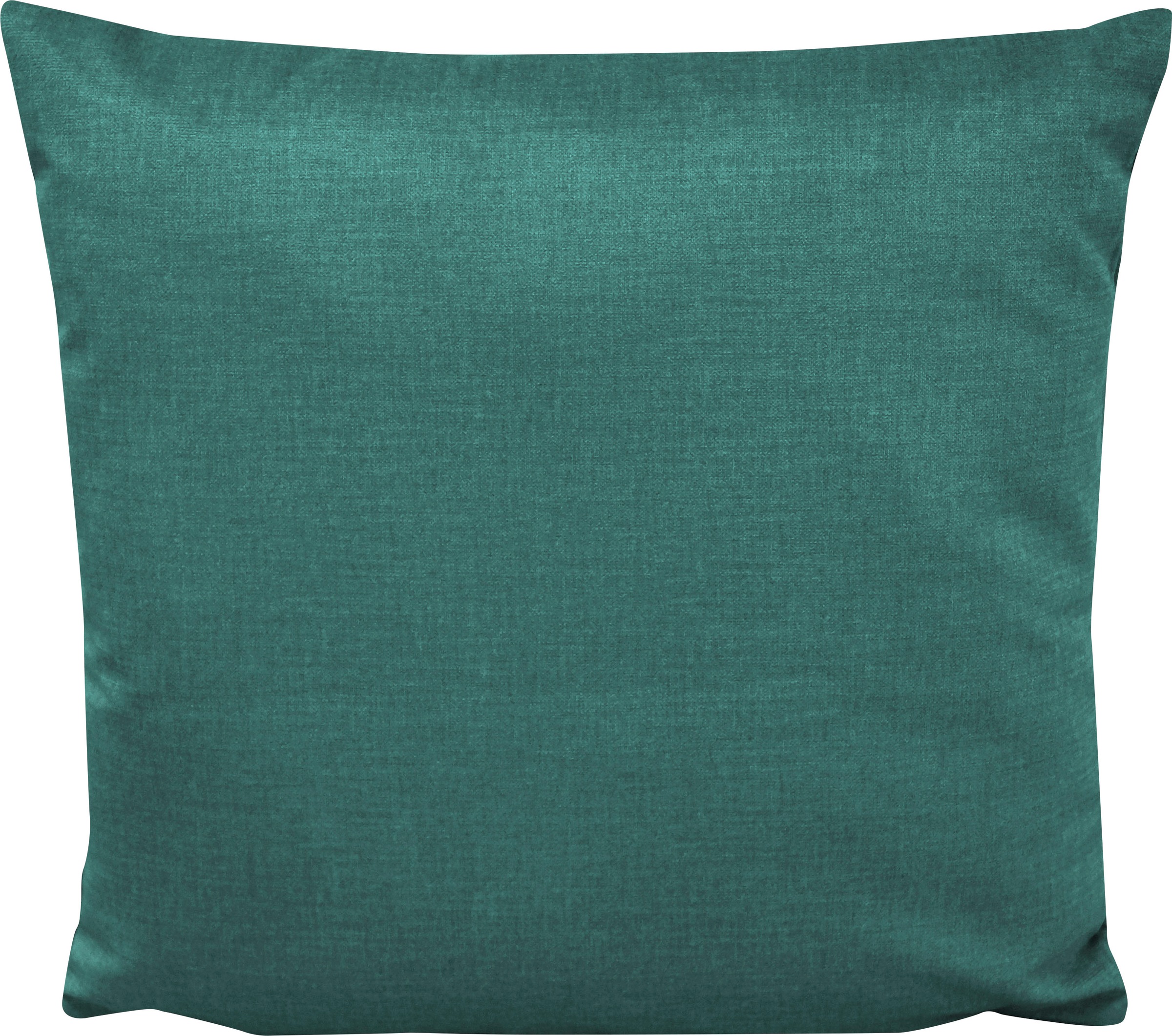 Image of Dohle&Menk Dekokissen »Fancy«, (2 St.), 2-er Packung, in Samt-Optik bei Ackermann Versand Schweiz