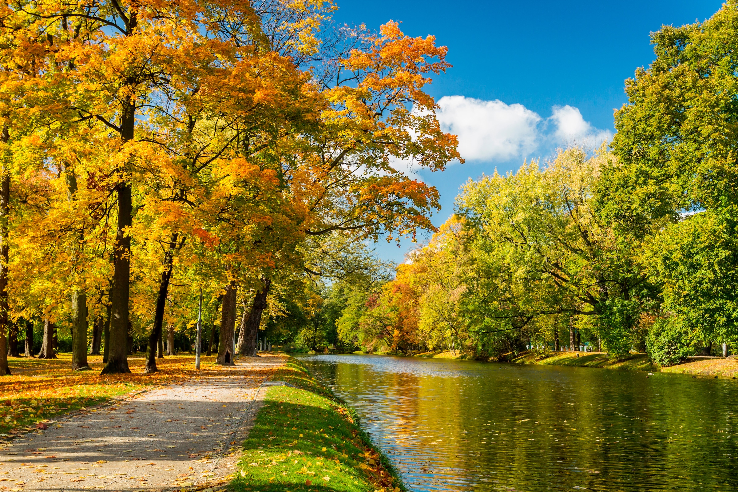 Image of Papermoon Fototapete »River in Autumn Park«, matt, BlueBack, 7 Bahnen, 350 x 260 cm bei Ackermann Versand Schweiz