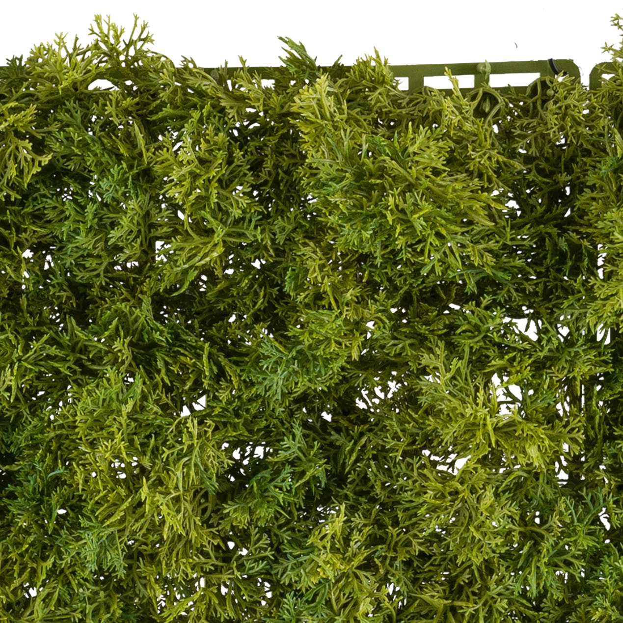 Creativ green Kunstpflanze »Matte Moos«, in toller Grösse