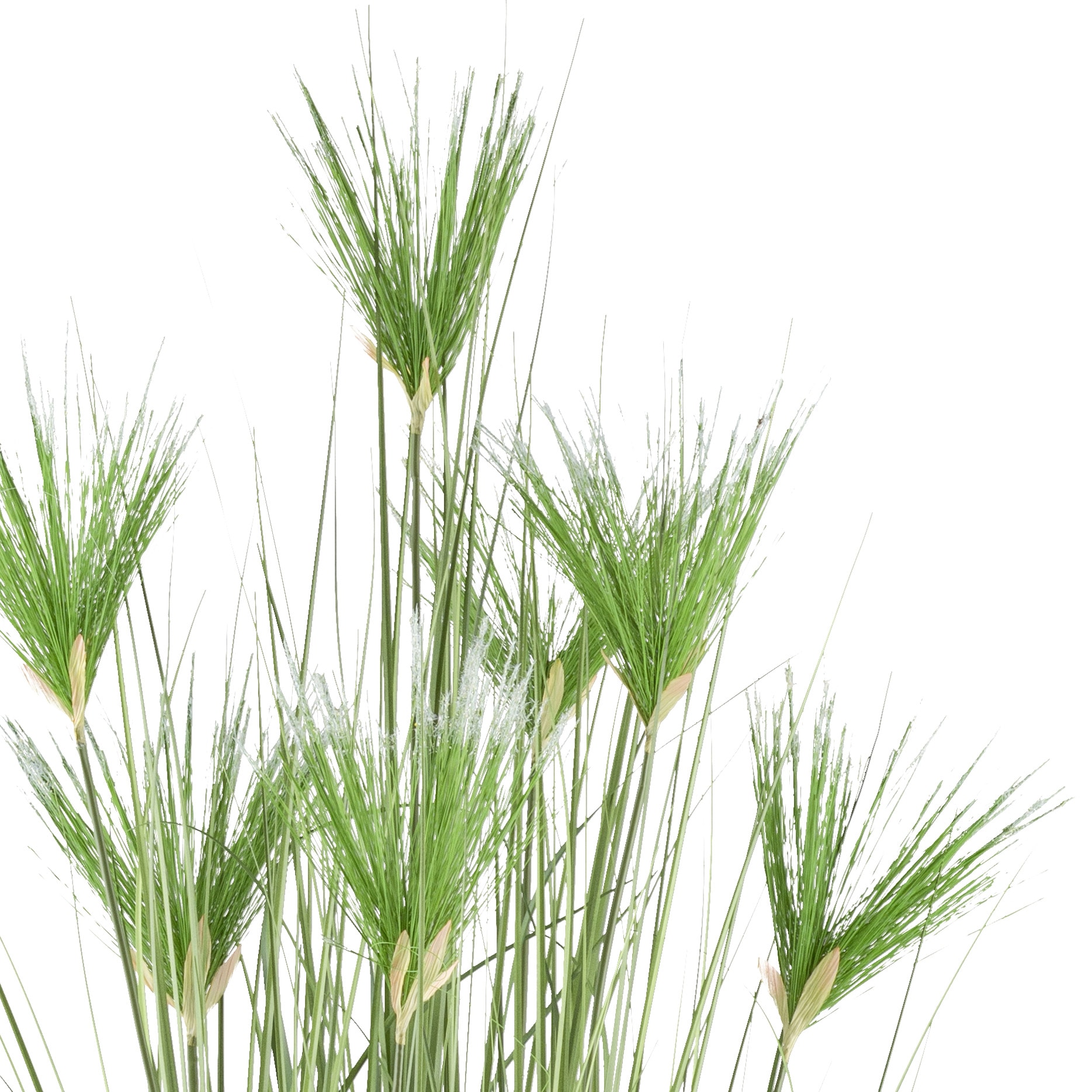 Creativ green Herbe artificielle »Zyperngras« mit sieben Zyperngrasblüten