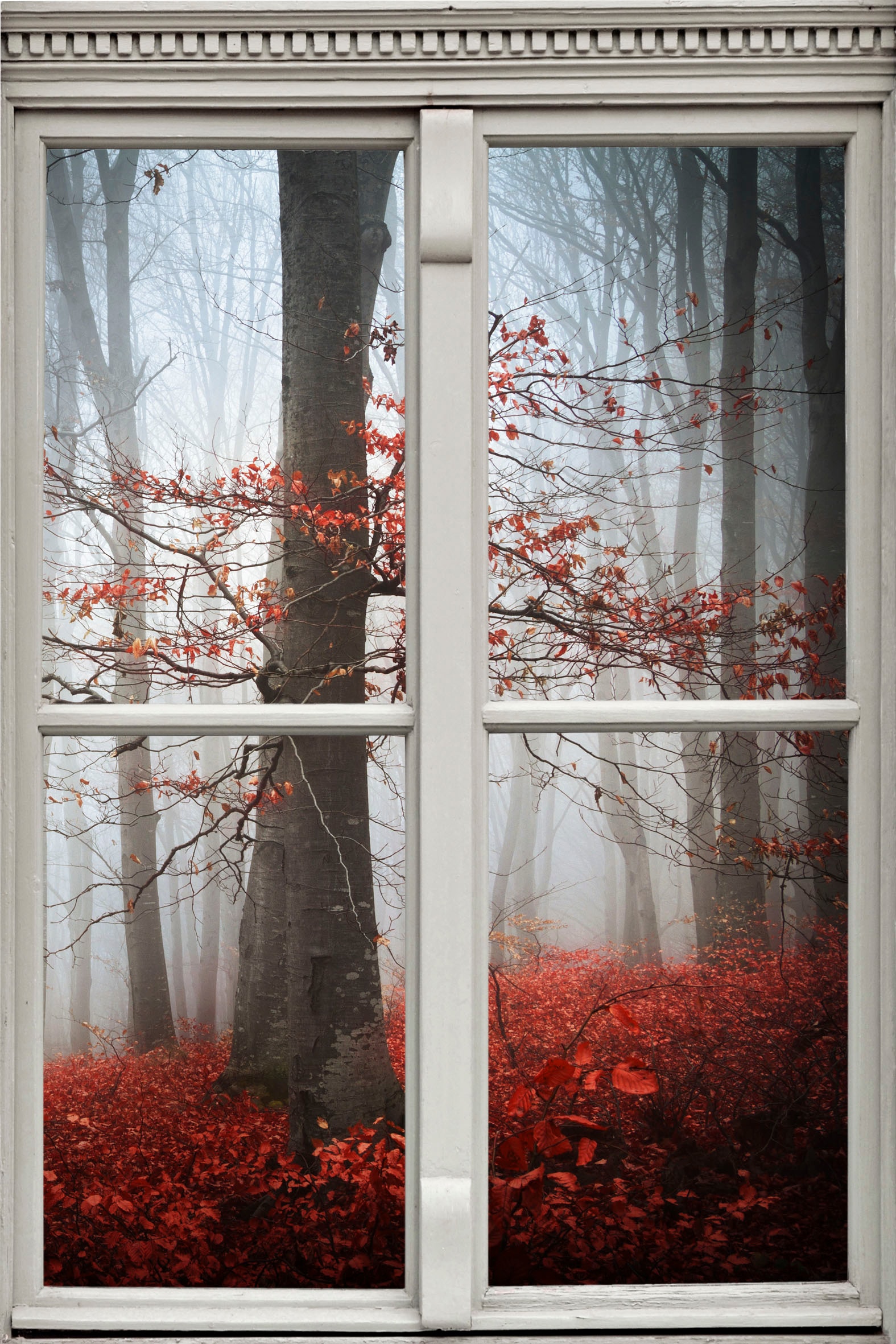 Image of queence Wandsticker "Wald in Herbst" Wandsticker, Wandbild, selbstklebend, 3D, Fenster