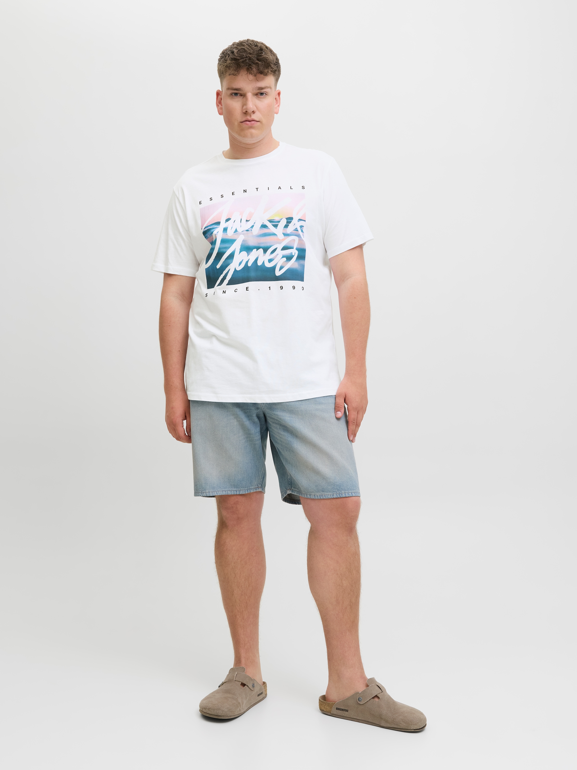 Jack & Jones PlusSize Print-Shirt »JJCOLTON PHOTOPRINT TEE SS CREW NE PLS«