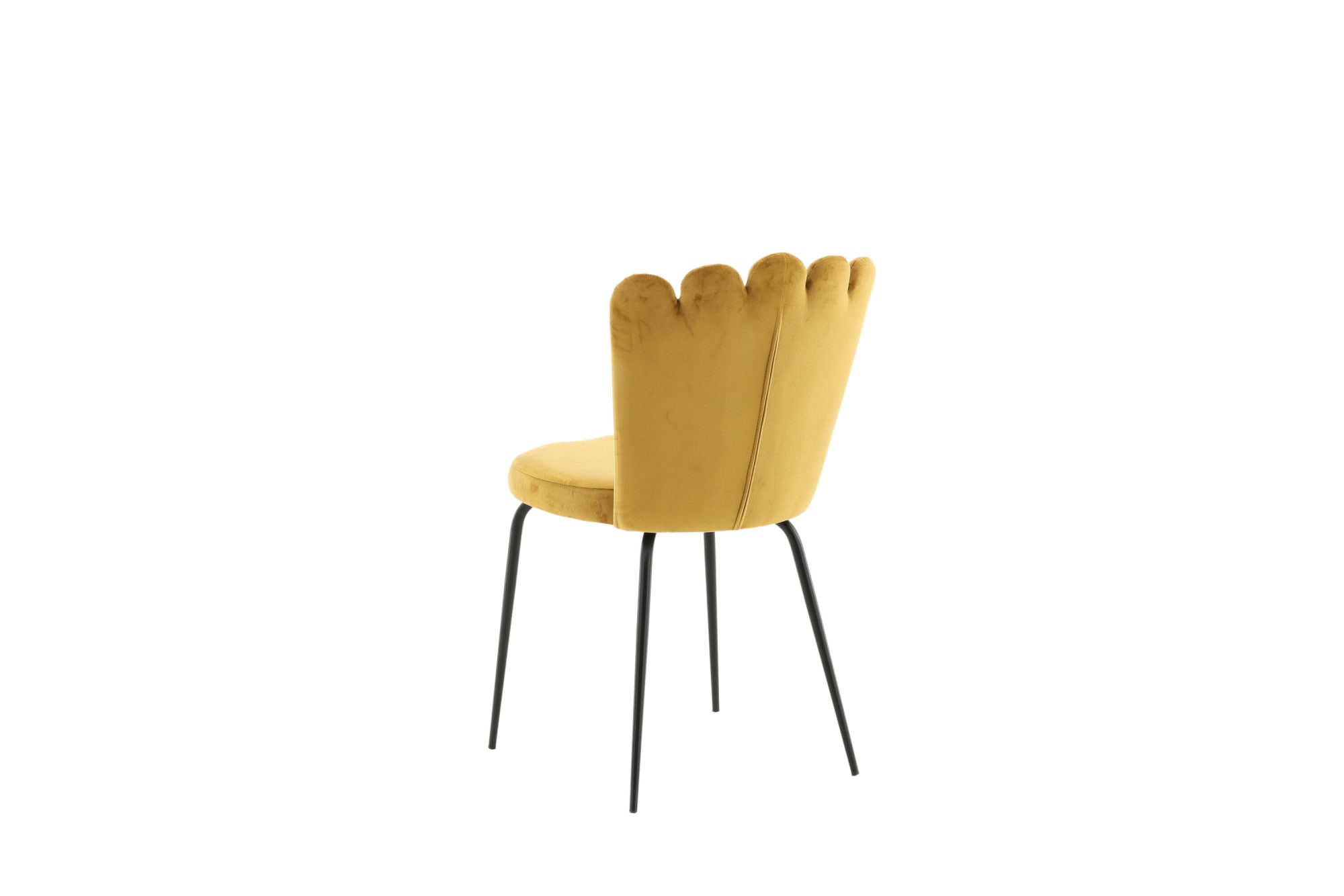 Venture Home Chaise de salle à manger () chaise rembourrée, revêtement doux, pieds en métal, aspect coquillage, plein de caractère