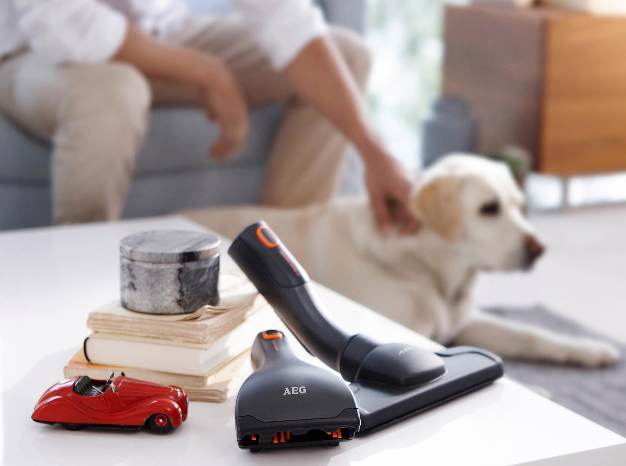 AEG Set de buses d'aspirateur »Animal Kit AKIT13« Matratzen- und Polsterdüse