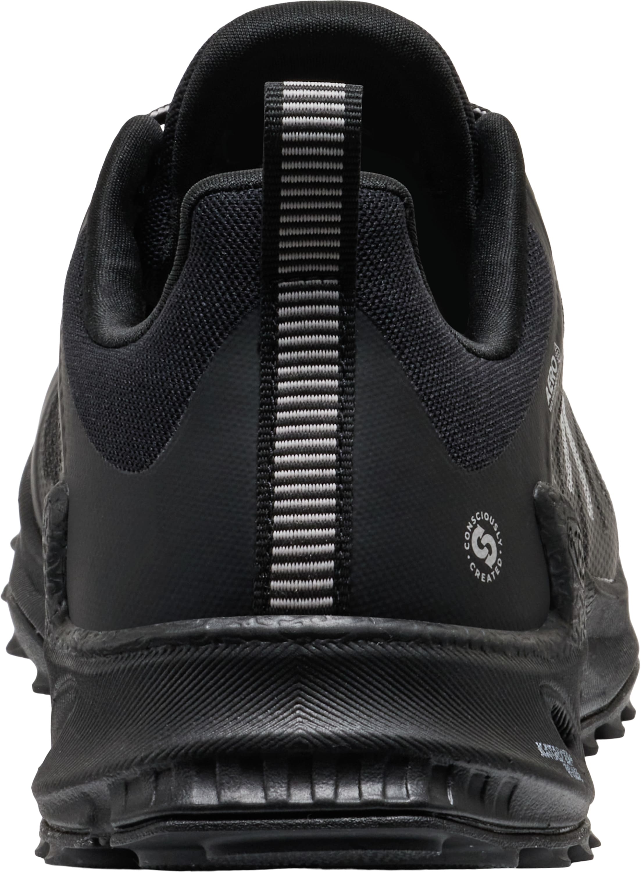 Keen Outdoorschuh »ZIONIC NXT WP«  wasserdicht