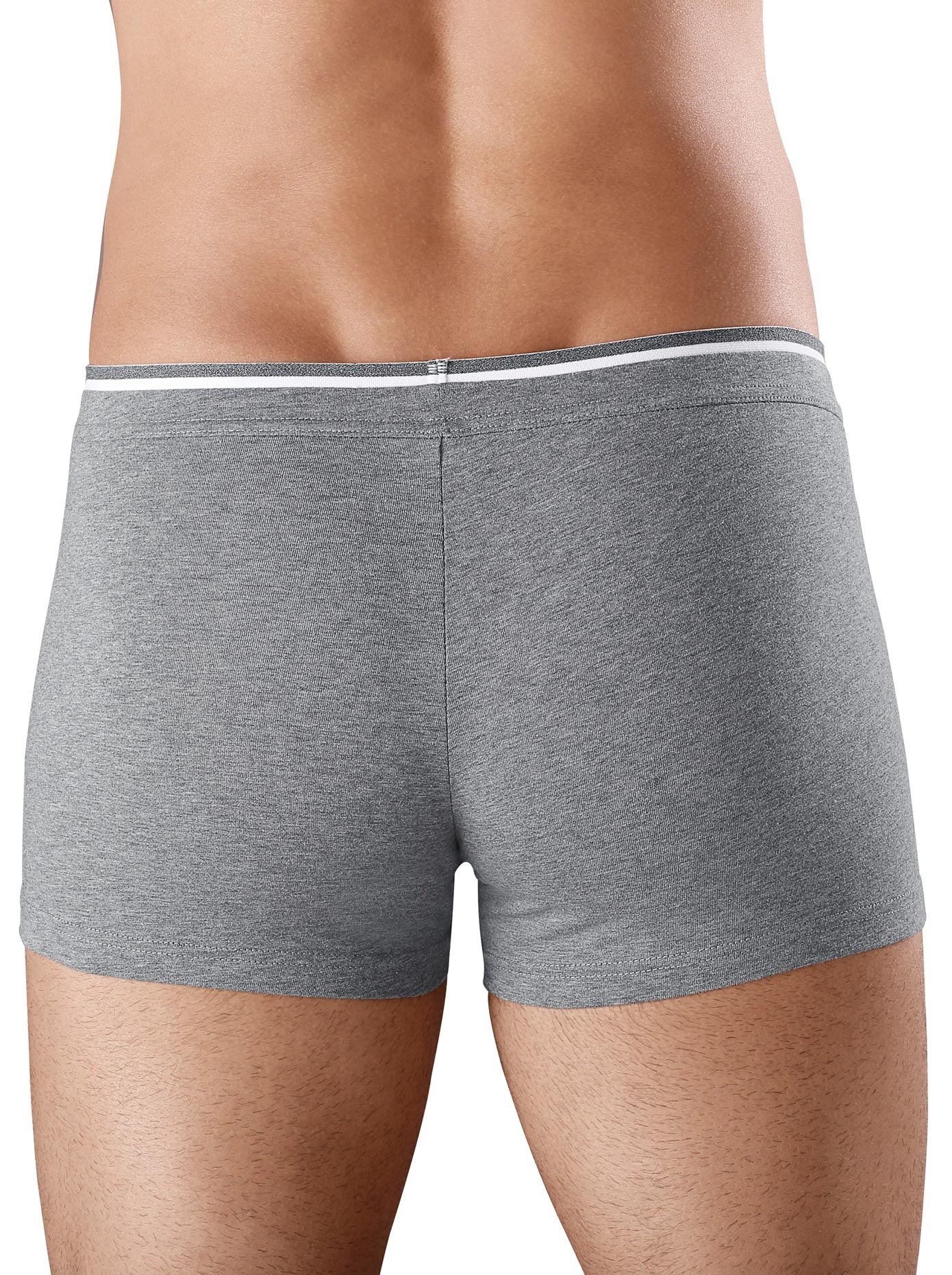 wäschepur Panty, (3 St.) kaufen