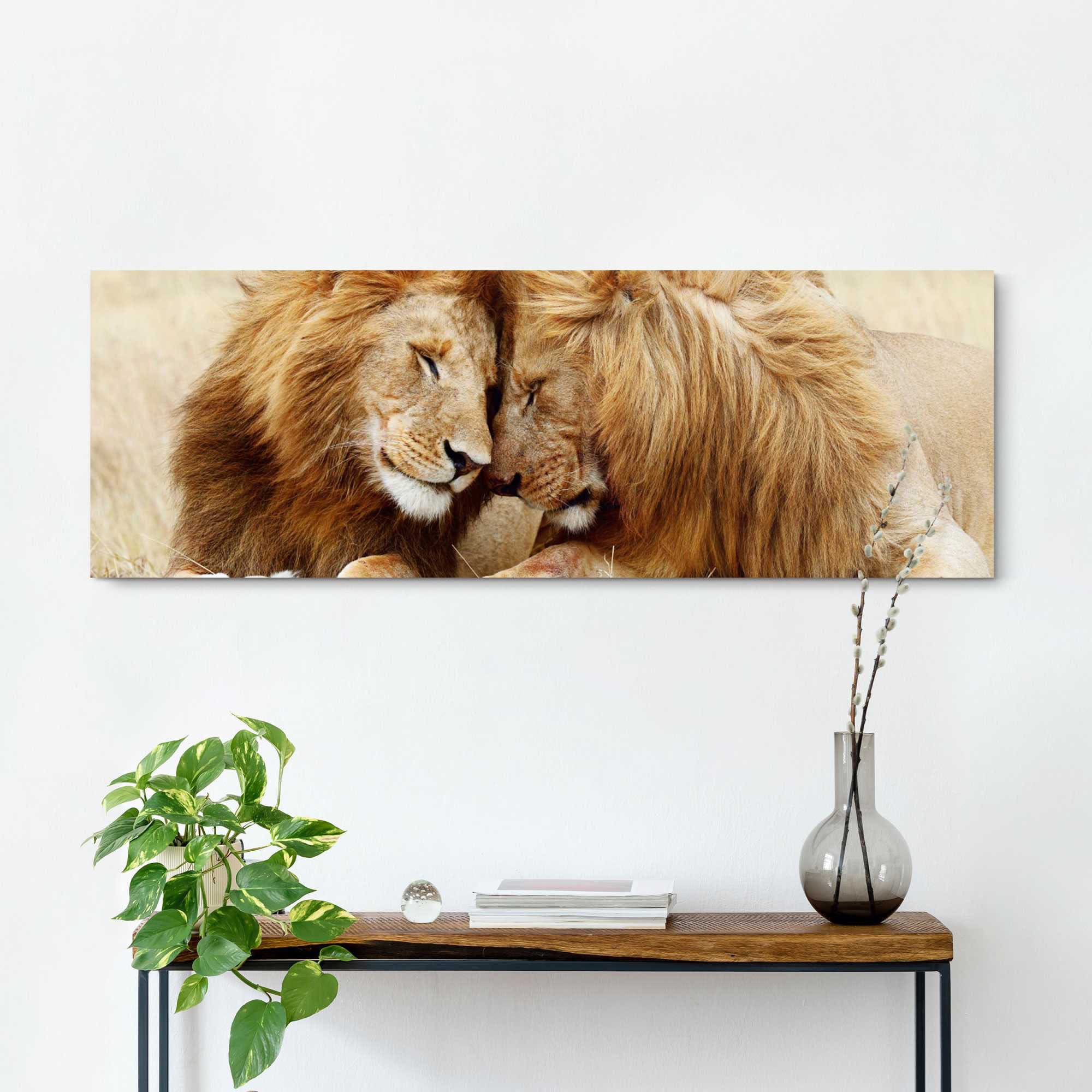 Wandbild Reinders! »Löwenliebe« günstig kaufen