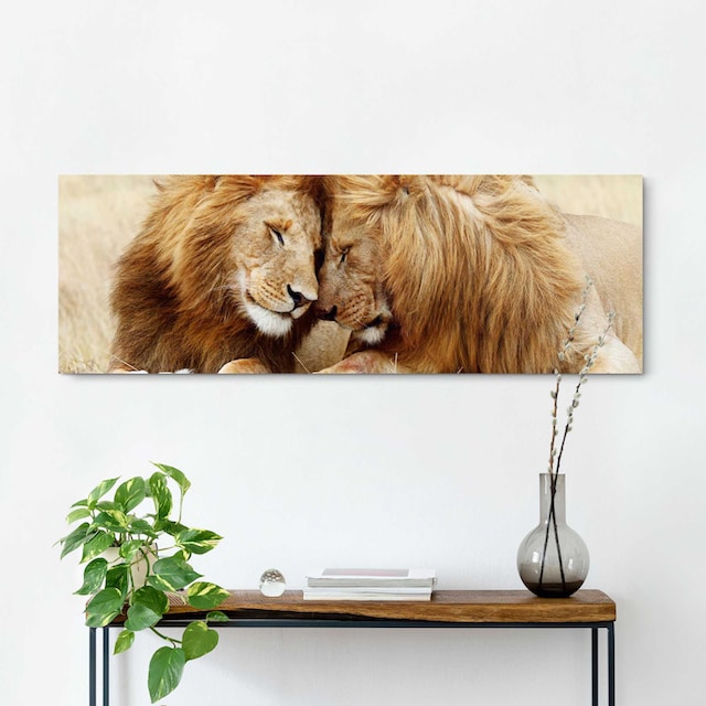 Reinders! Wandbild »Löwenliebe« günstig kaufen
