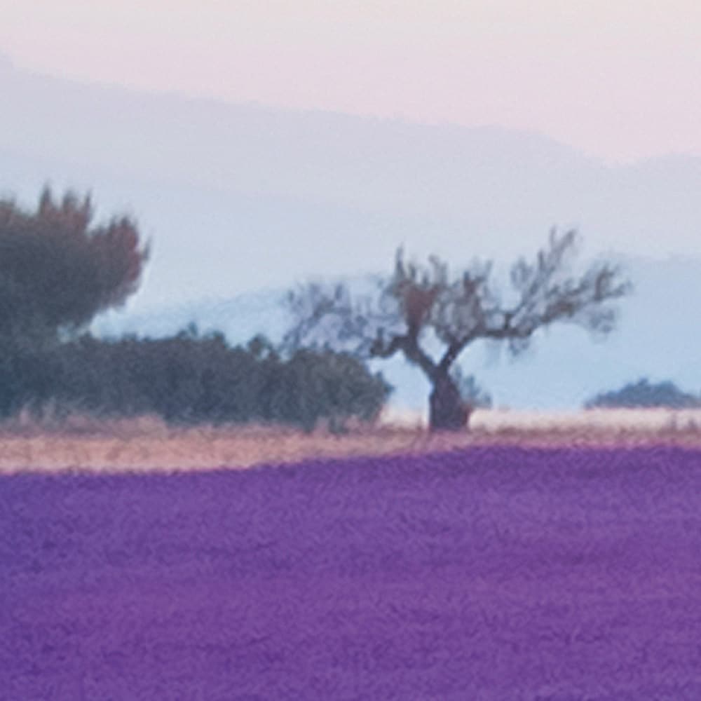 Komar Fototapete »Vlies Fototapete - Provence - Grösse 400 x 260 cm« Motiv | bedruckt glatt