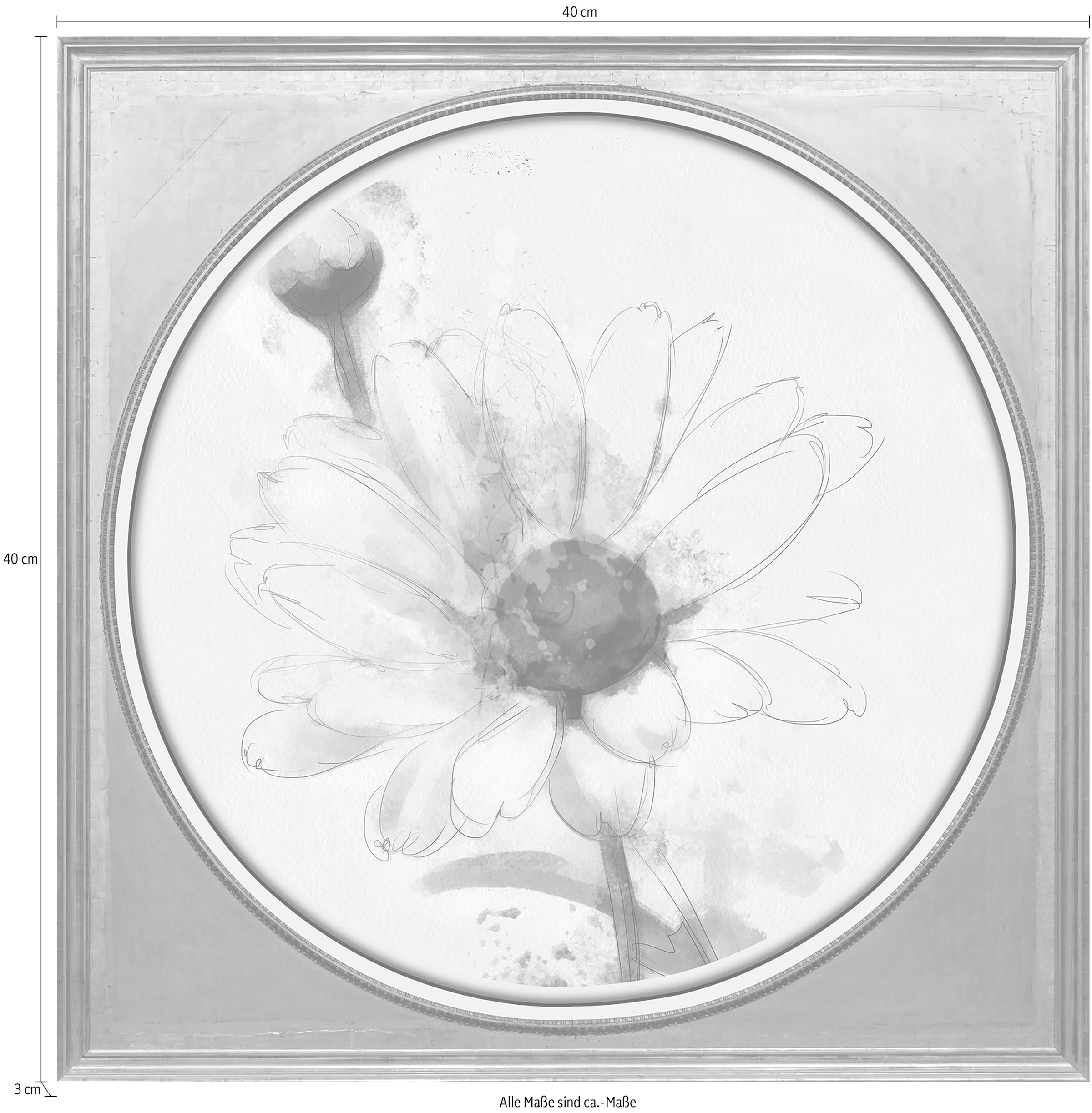 queence Acrylglasbild »Weisse Blüte«, Blumen-Blumenbilder-Kunst-Pflanzen-Pflanzenbilder-Gemälde, Fine Art-Print in Galeriequalität