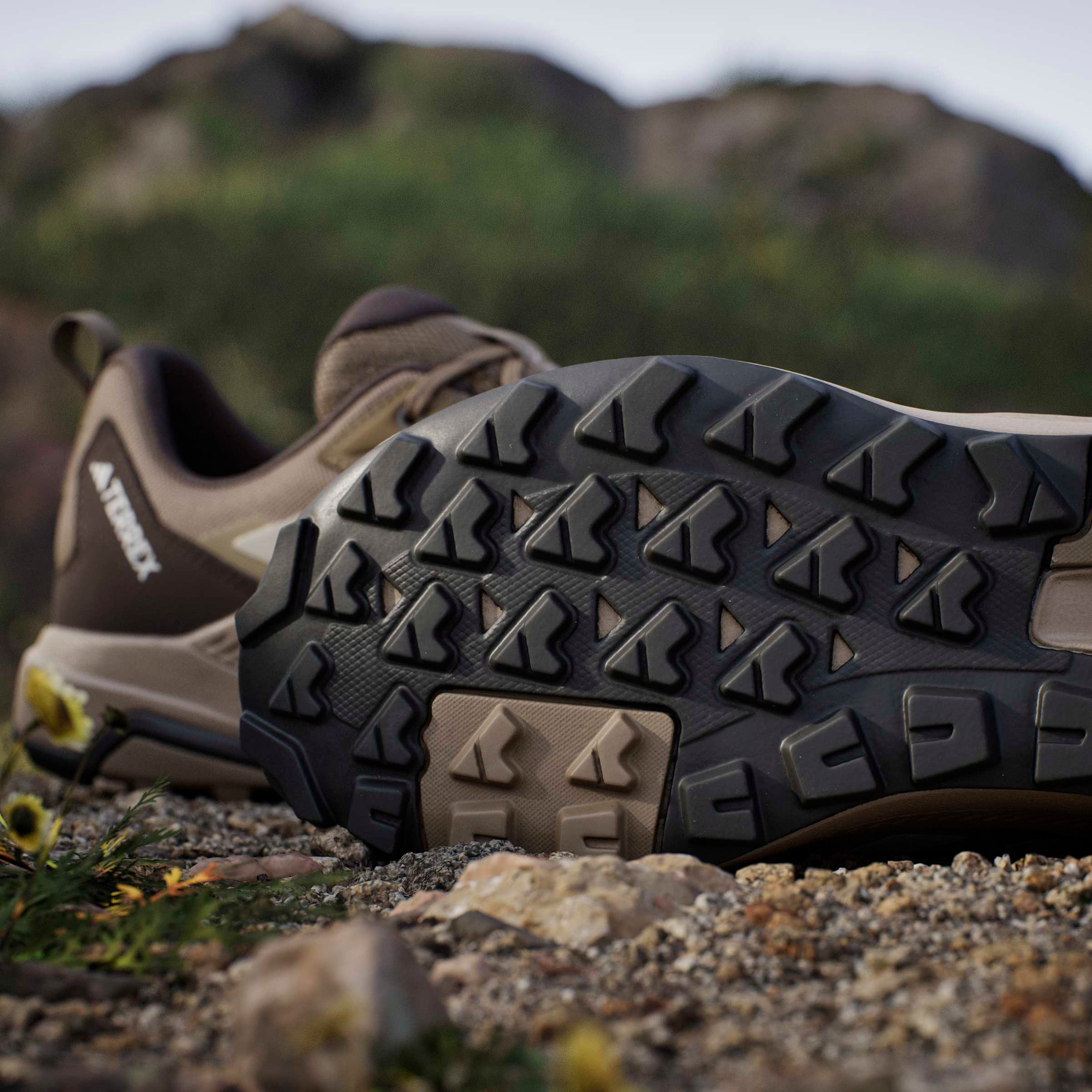adidas TERREX Chaussure de randonnée »ANYLANDER«