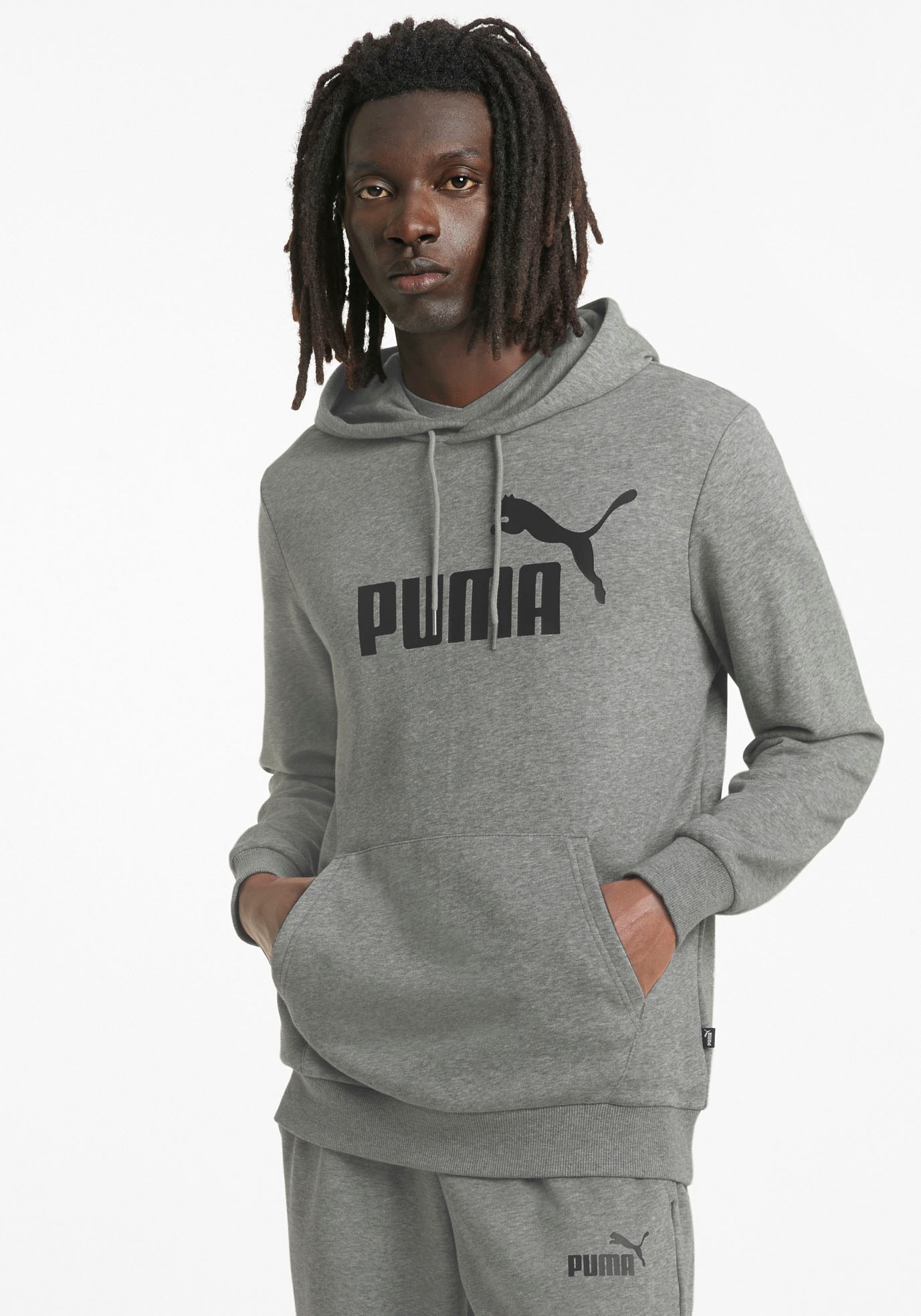 Image of PUMA Kapuzensweatshirt »BIG LOG HOODIE« bei Ackermann Versand Schweiz