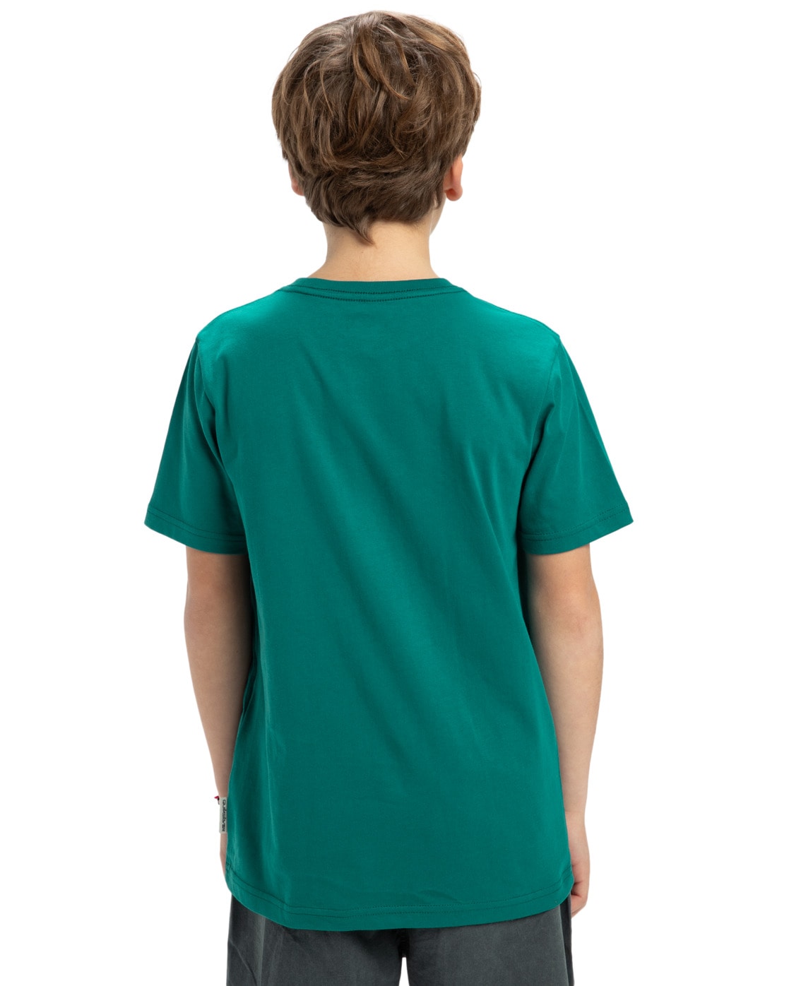 Quiksilver T-shirt »Basic«