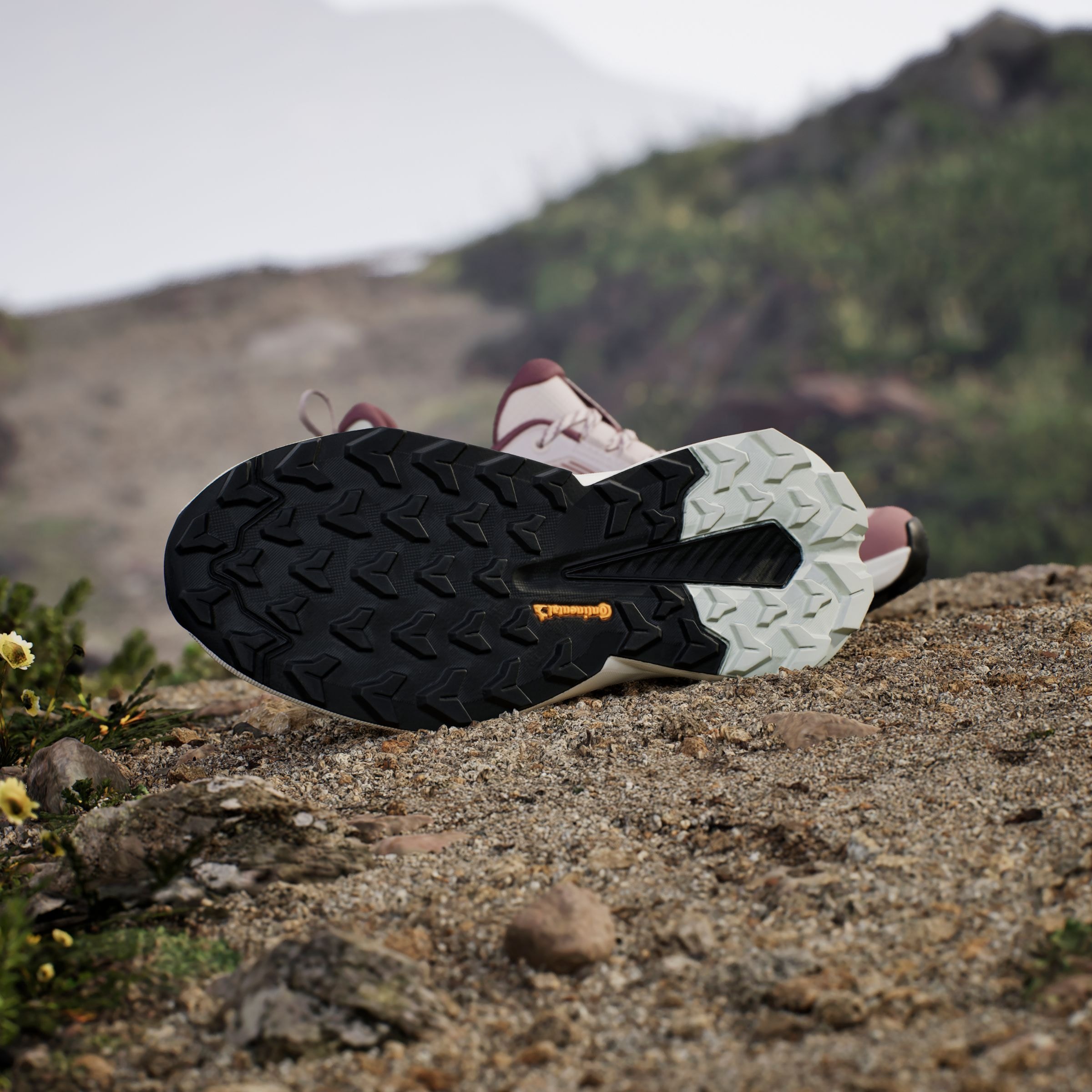 adidas TERREX Wanderschuh