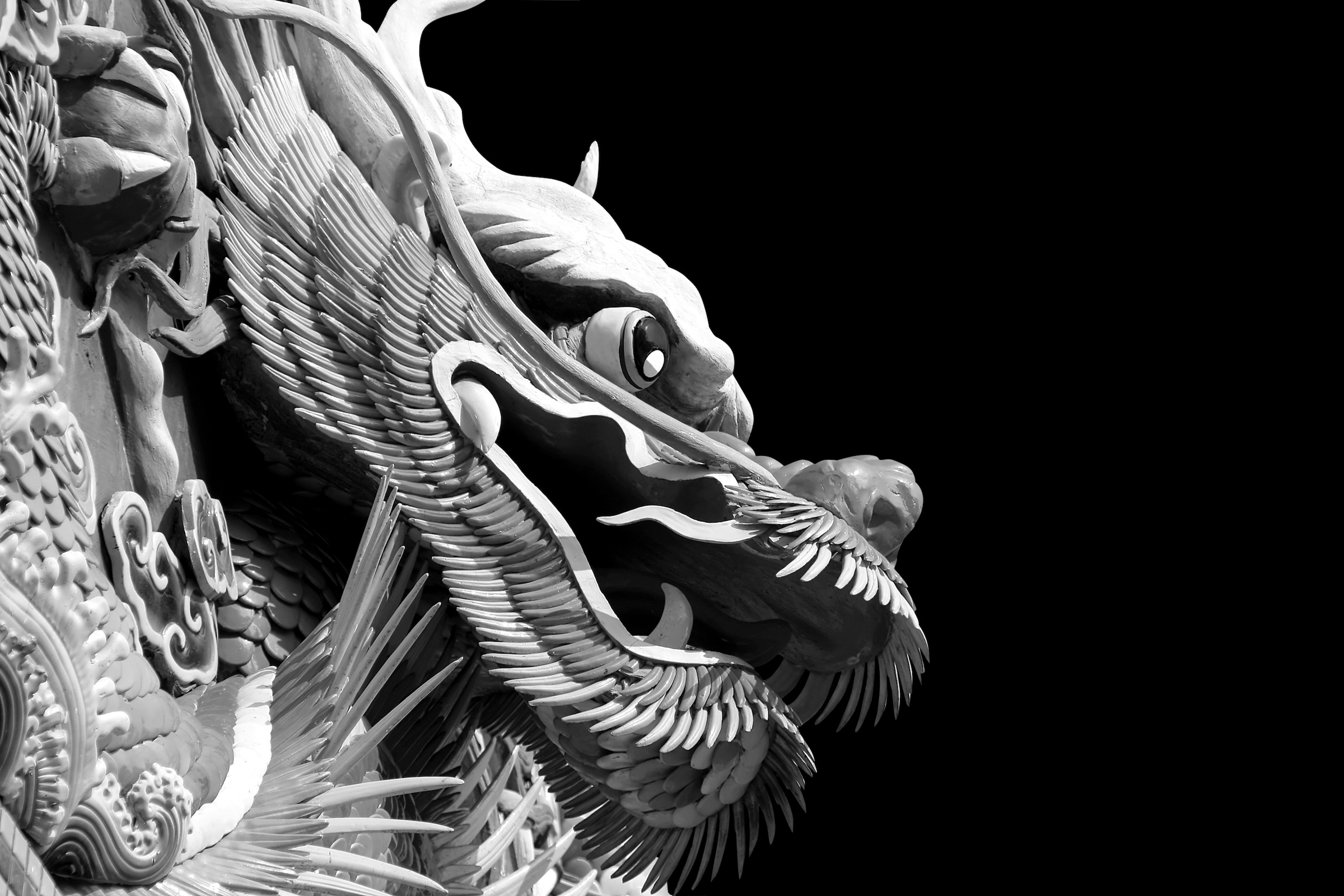 Image of Papermoon Fototapete "Chinesischer Drache Schwarz & Weiss"
