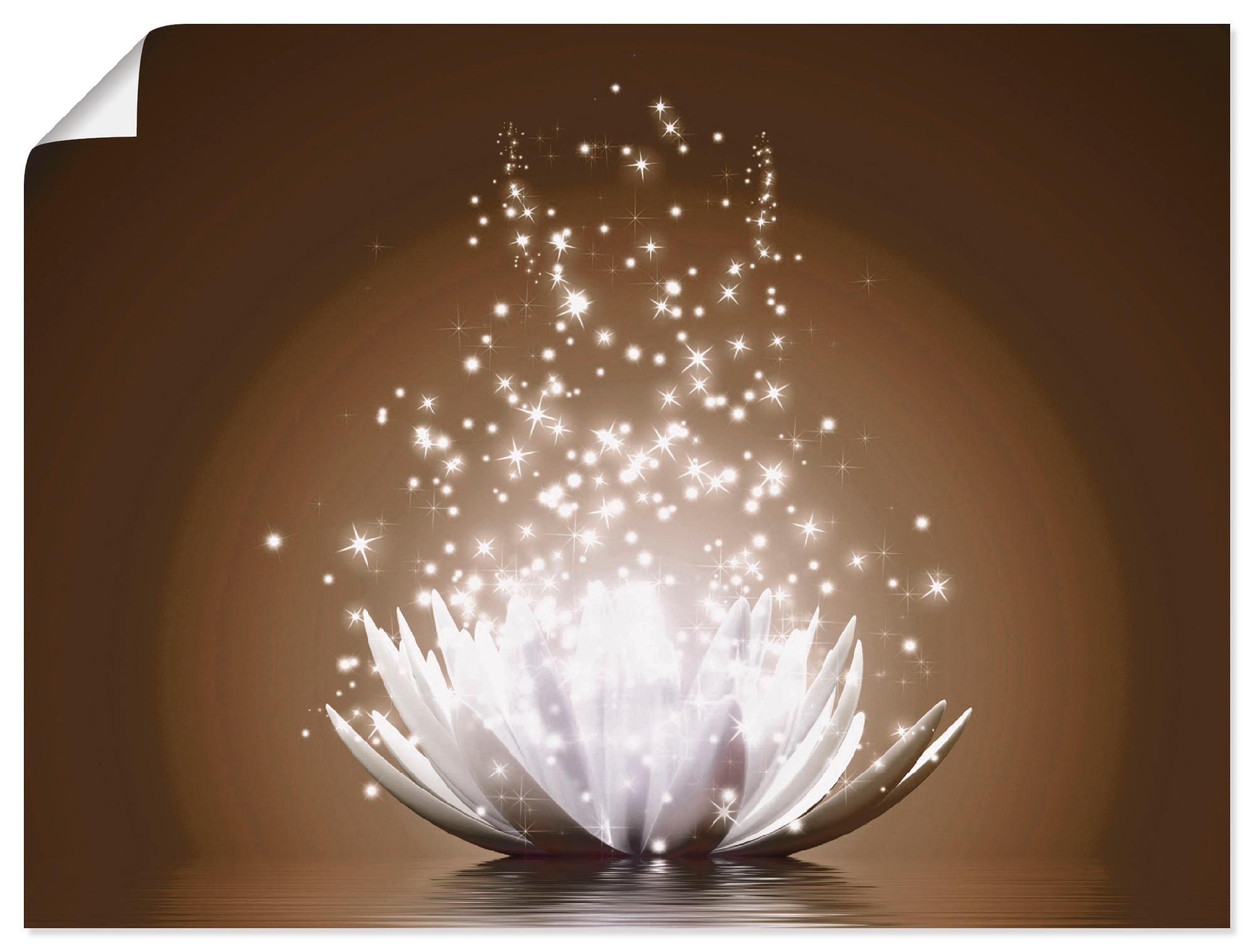 Artland Wandbild »Magie der Lotus-Blume«, Blumen, (1 St.), als Alubild,  Leinwandbild, Wandaufkleber oder Poster in versch. Grössen maintenant | Poster