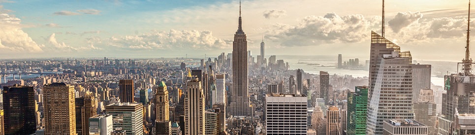 Image of Papermoon Fototapete "New York Panorama" matt