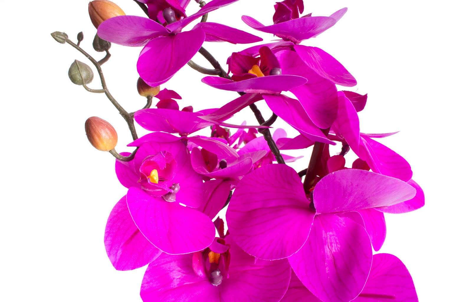 Botanic-Haus Kunstorchidee »Orchidee Bora«
