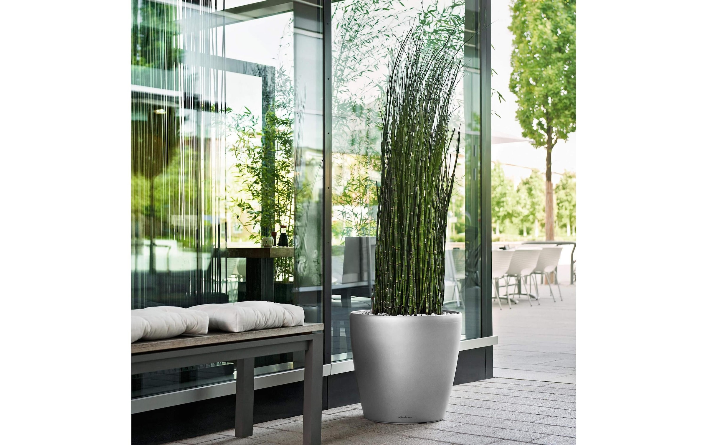   Blumentopf »Lechuza CLASSICO Premium 60«