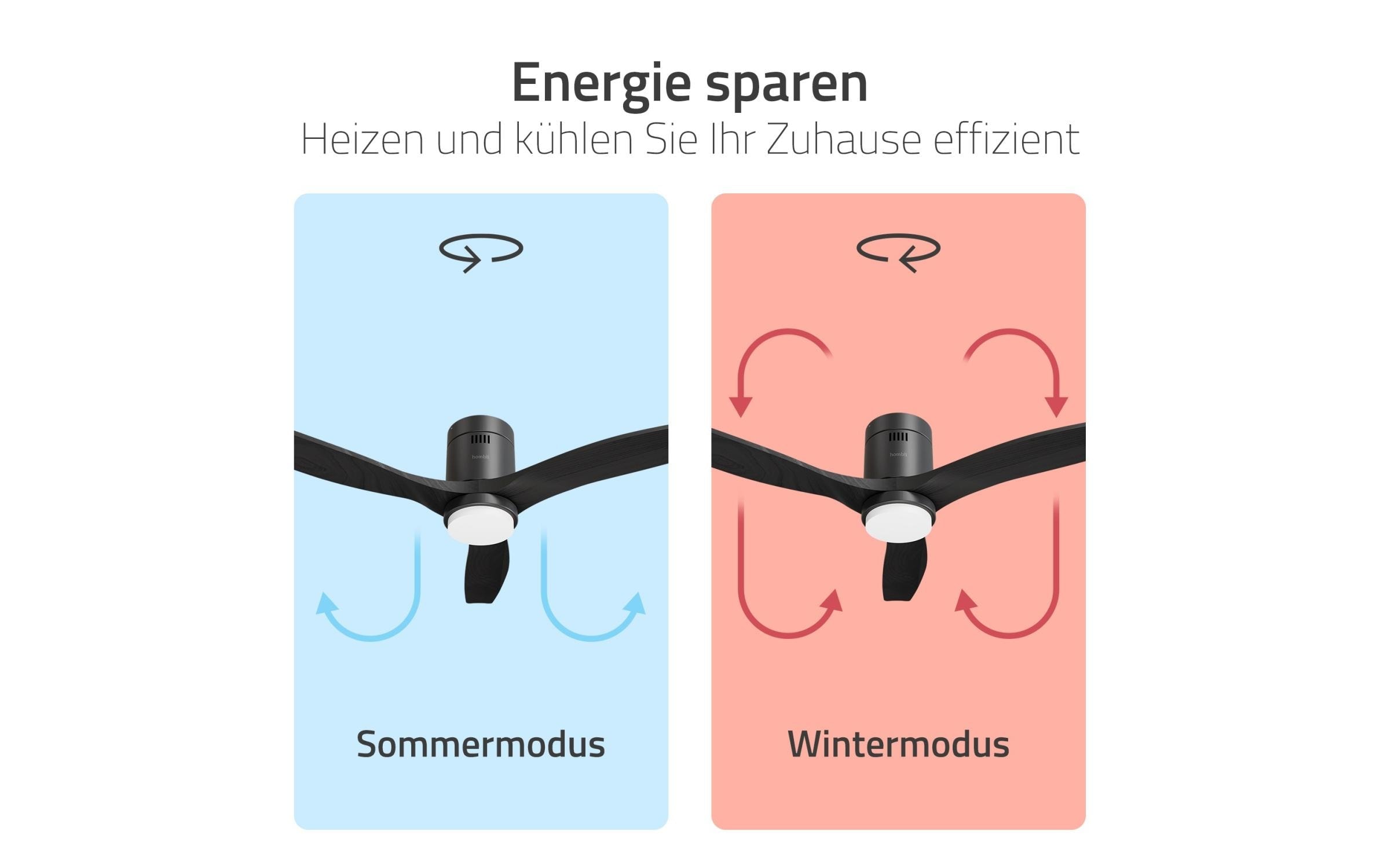Hombli Deckenventilator »1320 mm« 132 cm Durchmesser