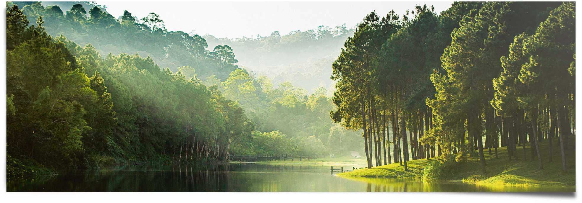 Image of Reinders Poster "Mystischer Waldsee" 1 Stk. tlg.