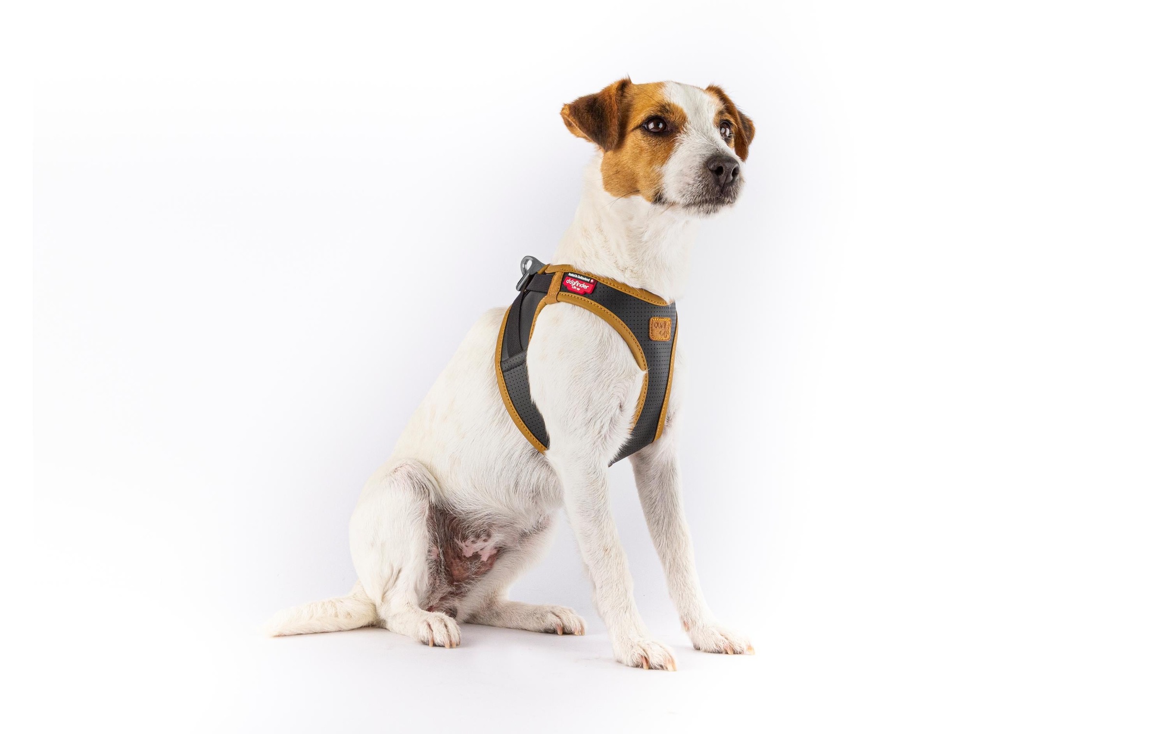 Curli Hunde-Geschirr »Vest Geschirr Apfelleder«, Leder