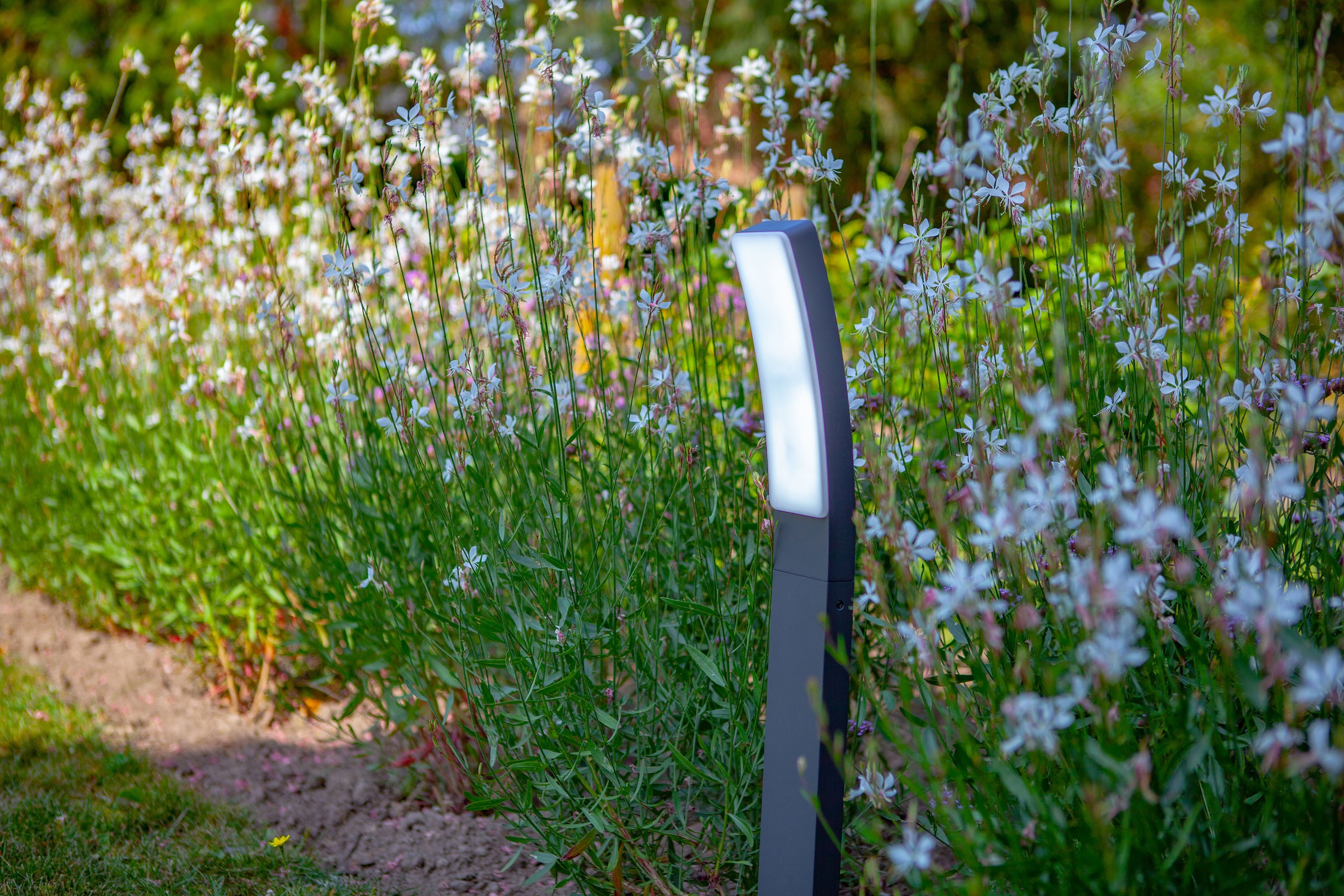 LUTEC LED Aussen-Wandleuchte »KIRA«, Leuchtmittel LED-Modul | LED fest integriert