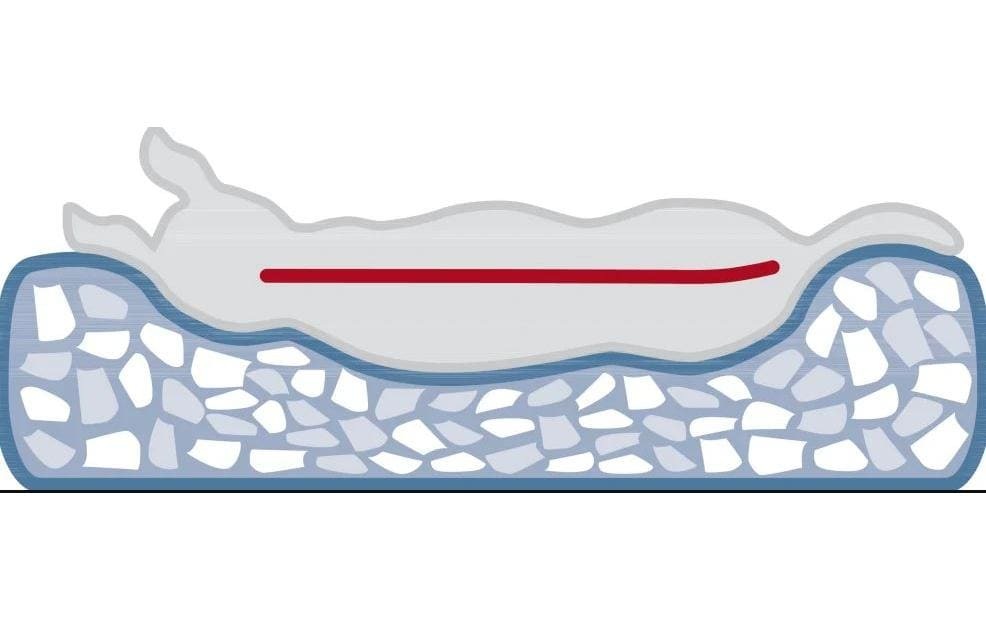 Trixie Vital Bed Noah - 100 x 70 x 19 cm (L x W x H)