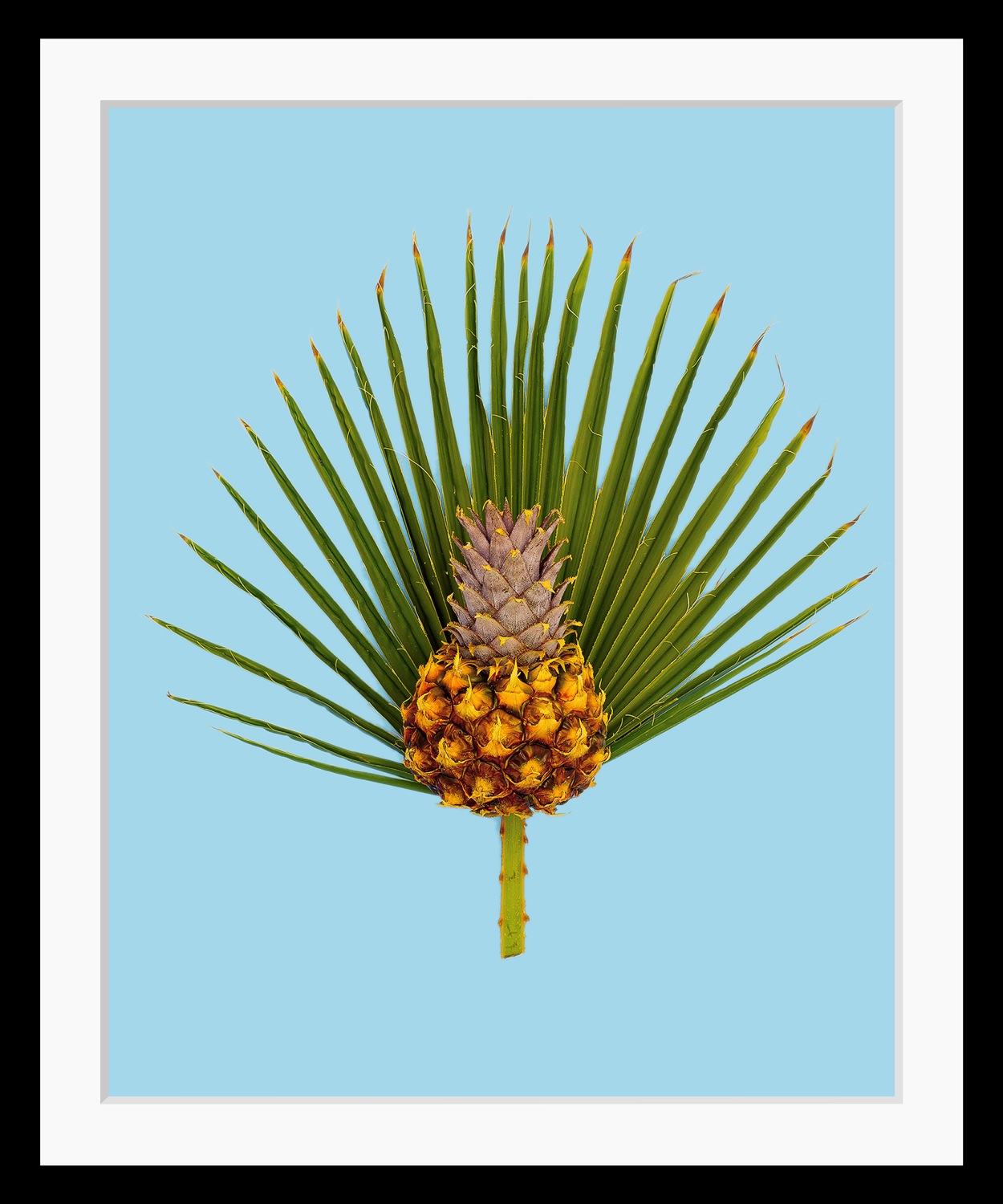 Image of queence Bild "Diana" Ananas Kunst Obst Obst Bilder Palmen Stechpalmen HD Premium Poster-Druck inkl. Holzrahmen