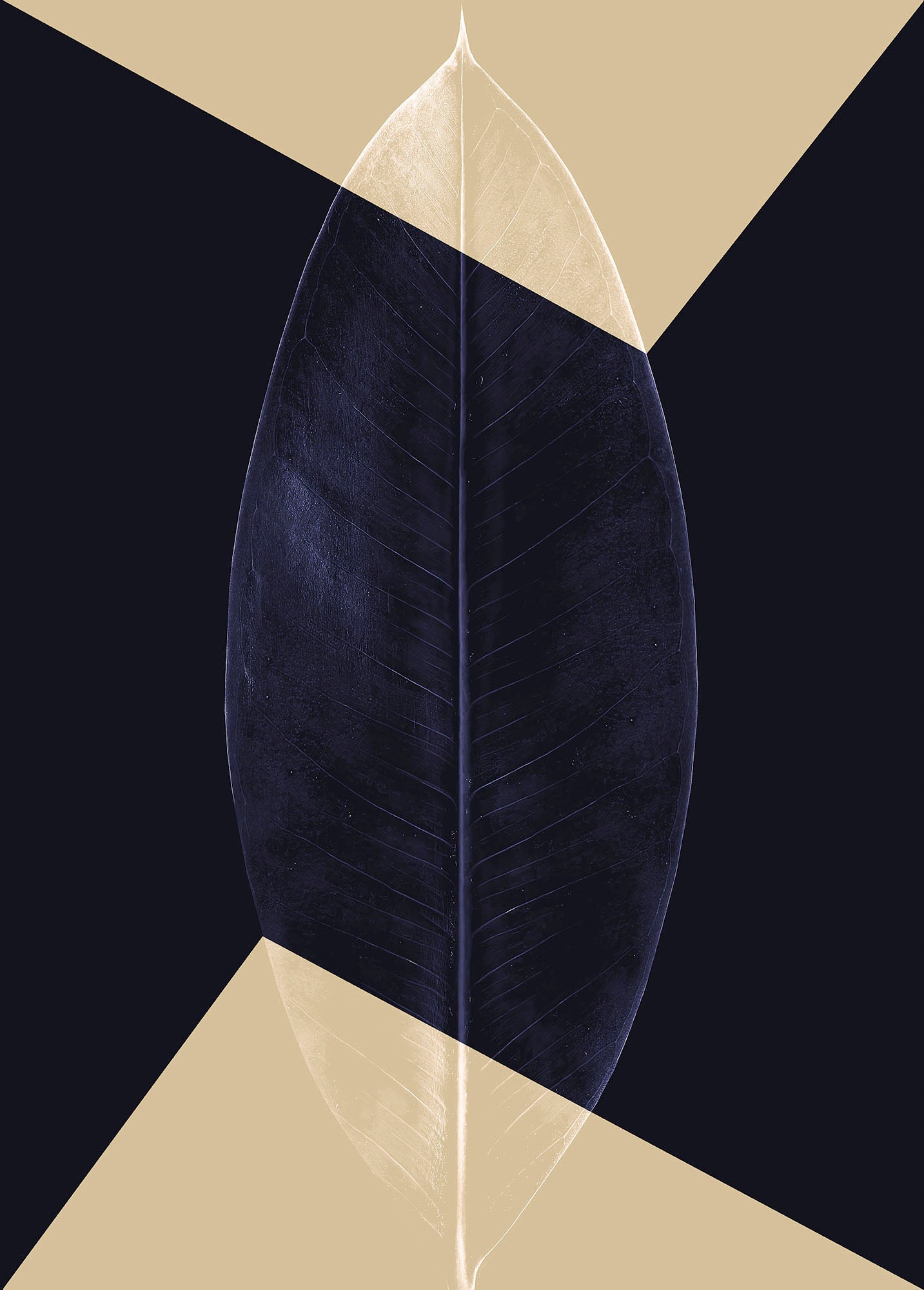 Image of Komar Wandbild »Lotus Theatre«, (1 St.), Deutsches Premium-Poster Fotopapier mit seidenmatter Oberfläche und hoher Lichtbeständigkeit. Für fotorealistische Drucke mit gestochen scharfen Details und hervorragender Farbbrillanz. bei Ackermann Versand Schwei