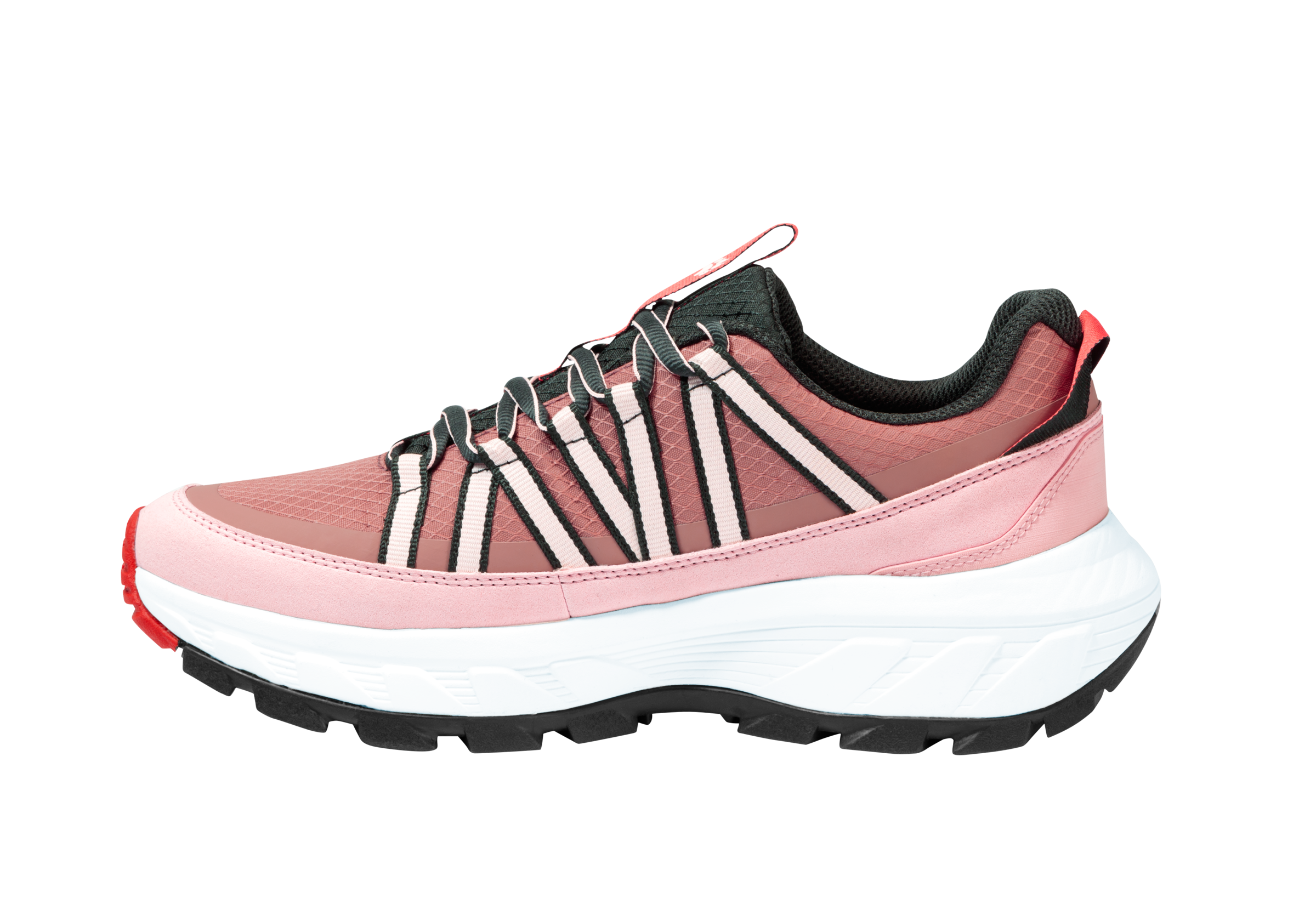 Jack Wolfskin Chaussure de randonnée »WILD HIKE TEXAPORE LOW W«  wasserdicht, Trekkingschuh