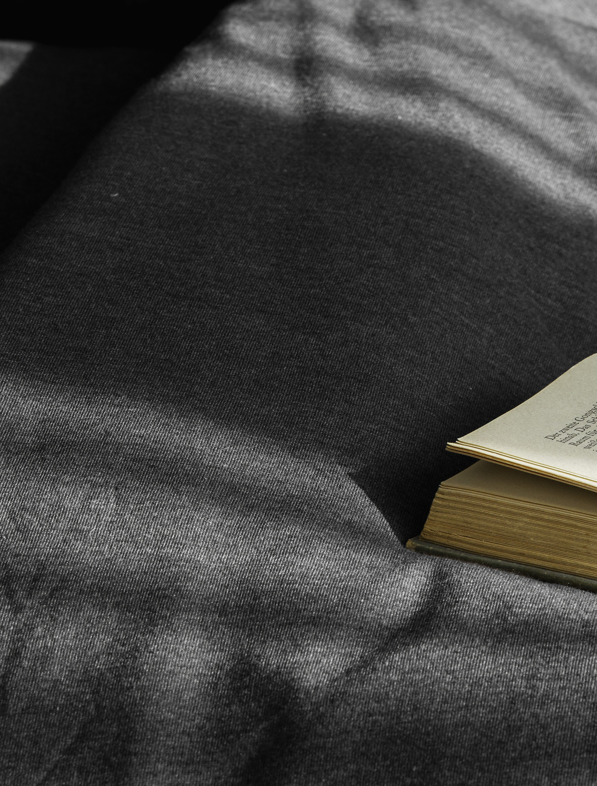 BIERBAUM Linge de lit »4135« 2 cuis tlg. Jersey-Melange, 100 % Baumwolle, bügelfrei