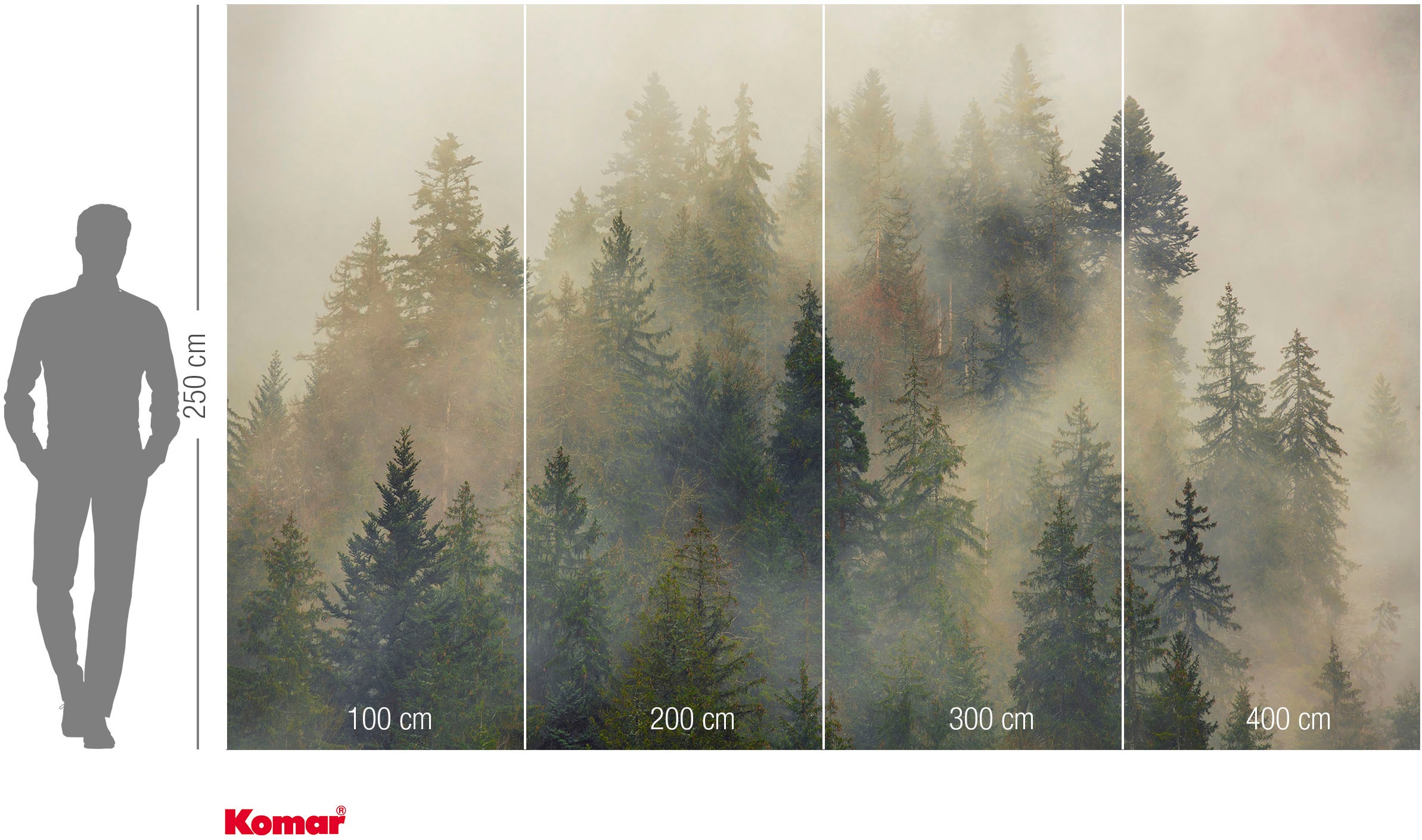 Komar Fototapete »Vlies Fototapete - Mystical Firs - Grösse 400 x 250 cm« Motiv | bedruckt glatt