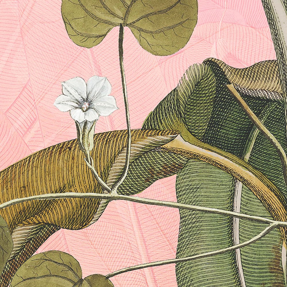 Komar Fototapete »Dot - selbstklebende Vlies Fototapete - Botany - Grösse 125 x 125 cm« Motiv | bedruckt glatt