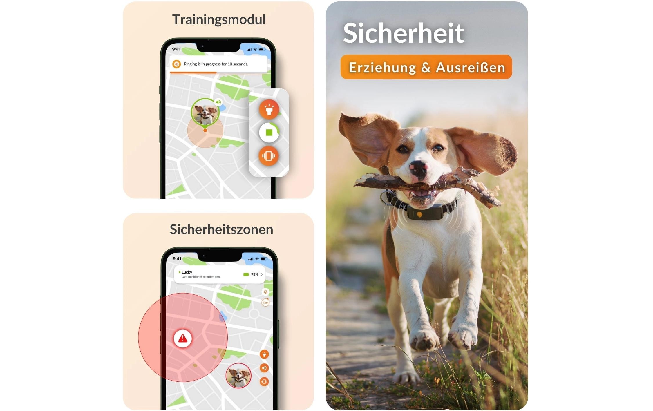   traceur GPS pour chiens »Weenect für Hunde XT mit Halsband«