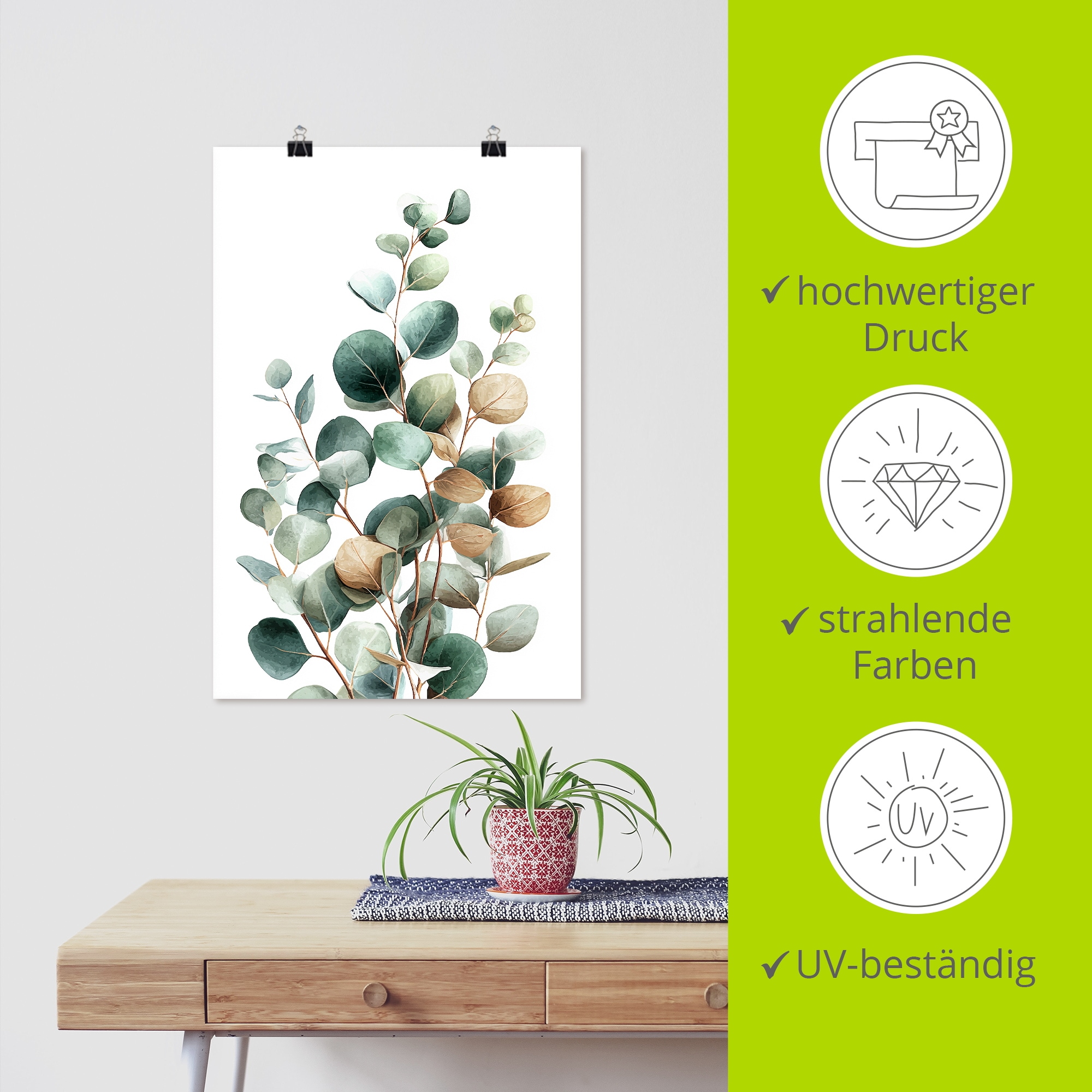 Artland Wandbild »Eukalyptus« Blätterbilder 1 Stk. tlg. als Alubild, Leinwandbild, Poster, Wandaufkleber in verschied. Grössen