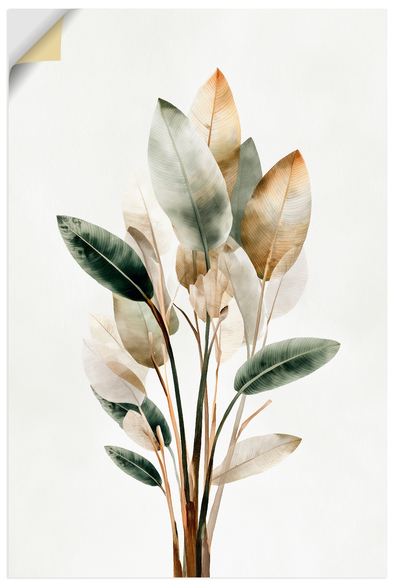 Image of Artland Wandbild "Strelizie" Blätterbilder 1 Stk. tlg. als Alubild, Leinwandbild, Poster, Wandaufkleber in verschied. Grössen