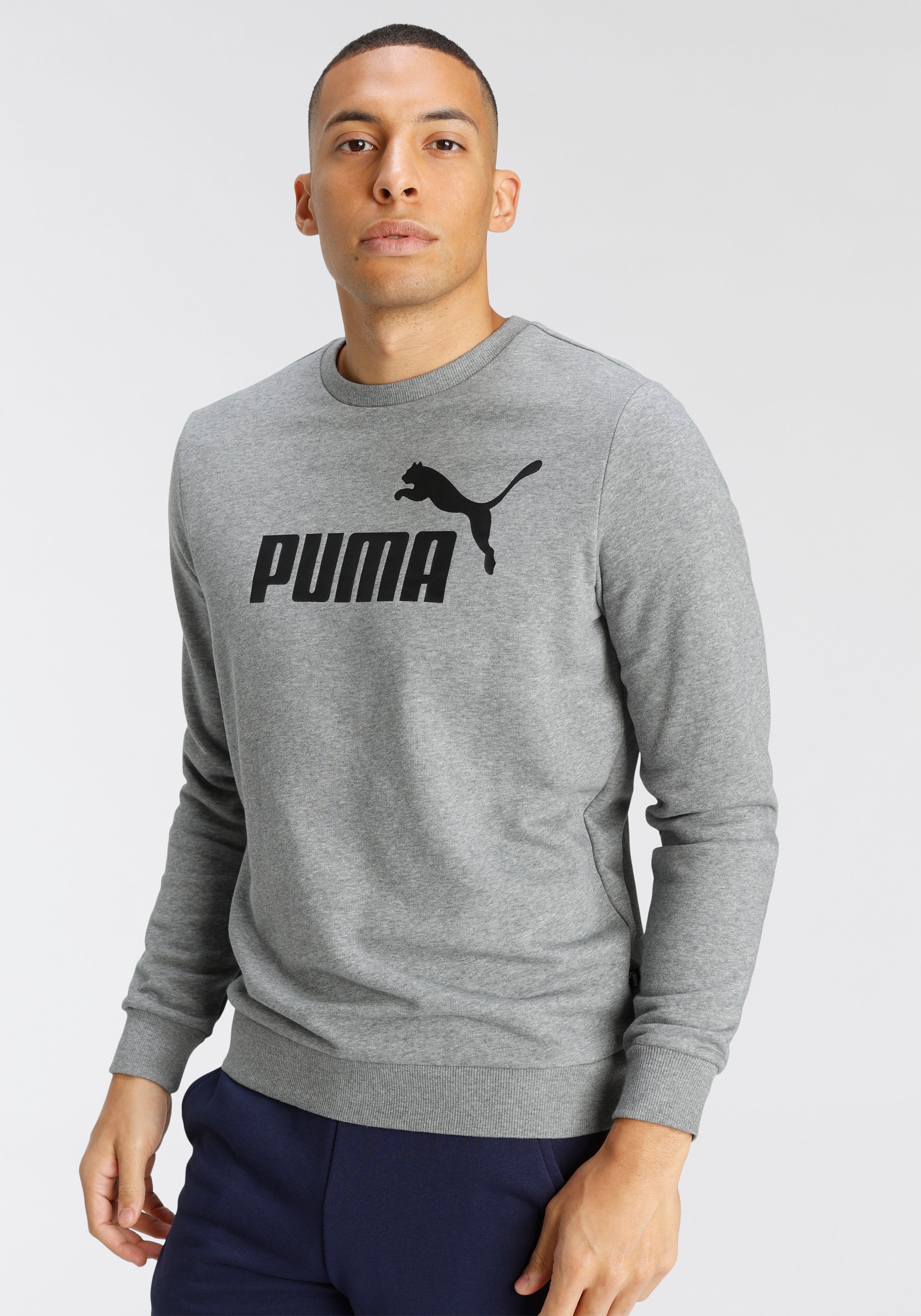 Image of PUMA Sweatshirt »BIG LOGO CREW TR« bei Ackermann Versand Schweiz