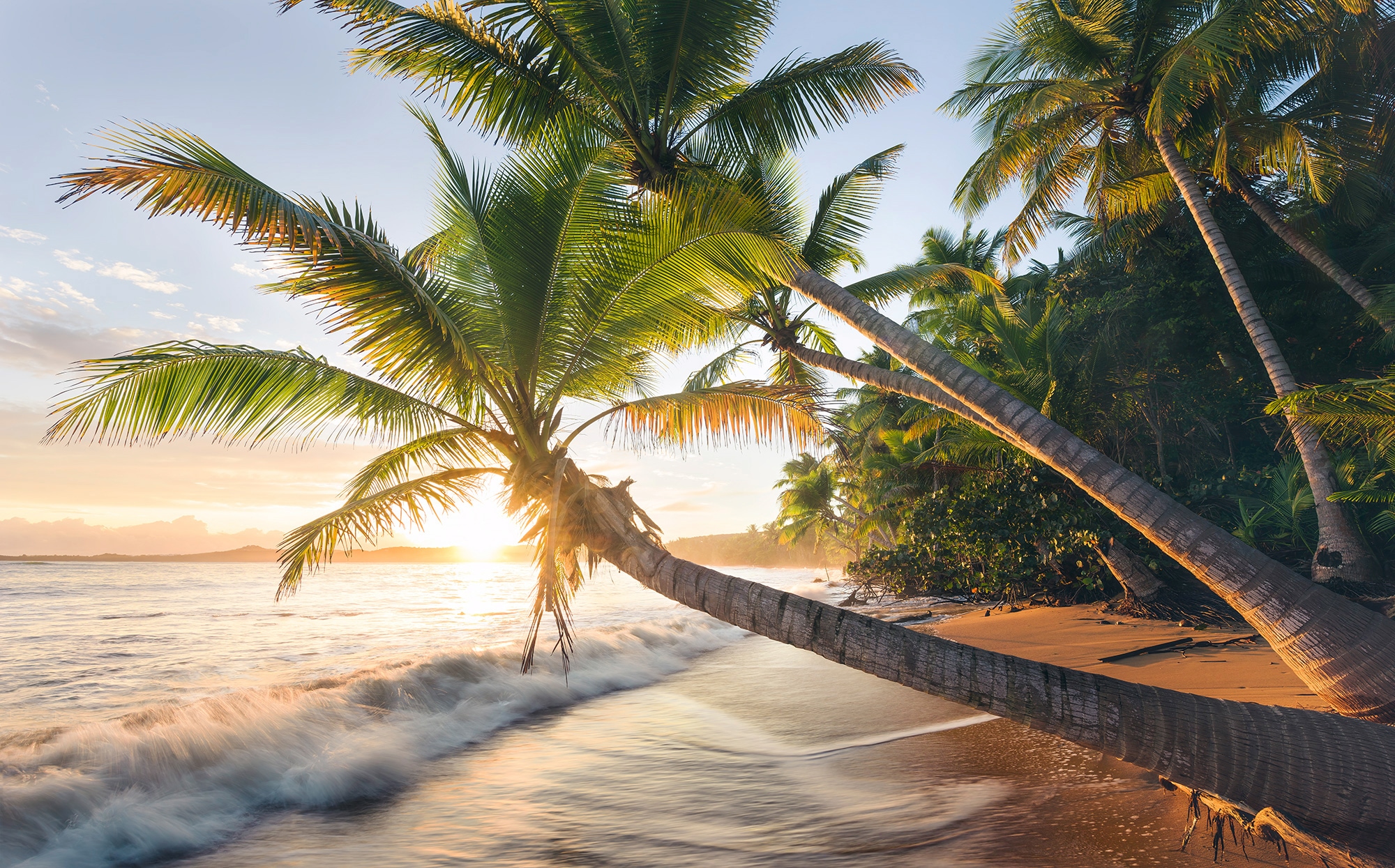 Image of Komar Vliestapete "Digitaldruck Vlies - Strandgeheimnis - Grösse 450 x 280 cm" bedruckt glatt Wohnzimmer, Schlafzimmer