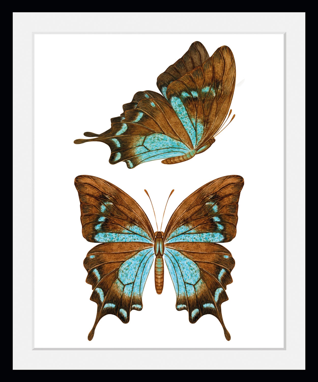 queence Bild »Nala« Insekten | Kunst | Schmetterlinge 1 Stk. tlg. HD Premium Poster-Druck inkl. Holzrahmen